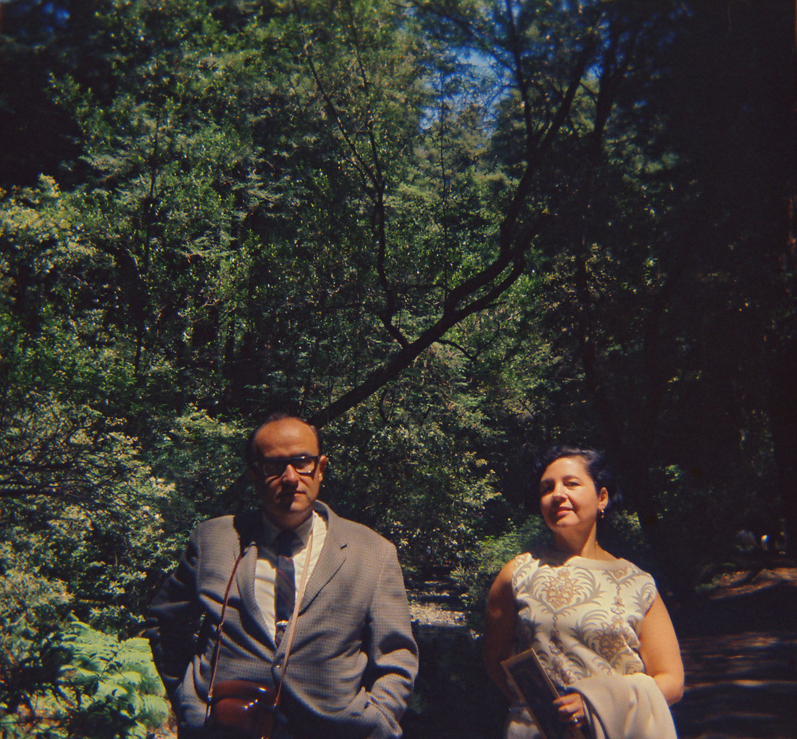 My parents, Muir Woods, San Francisco, 1967.