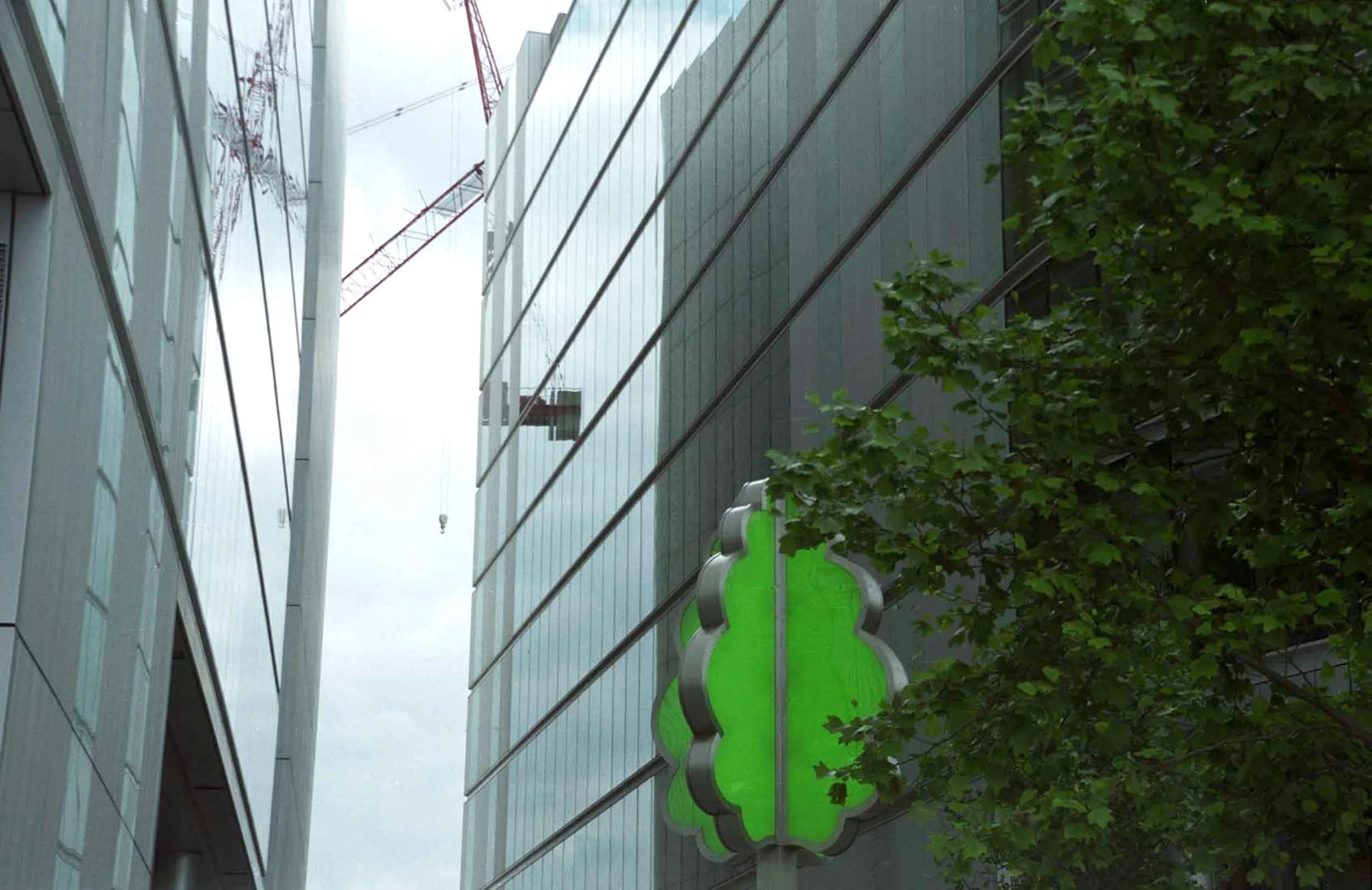 2008 London, Plastic Tree