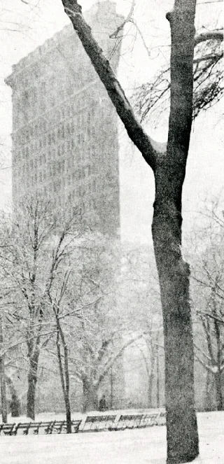 Flat Iron Building, New York 1903 Alfred Steiglitz