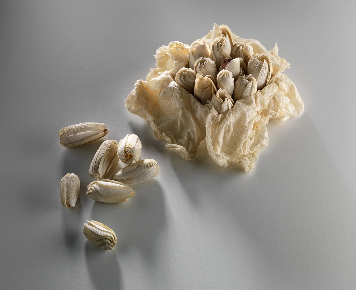 Cluster Shells