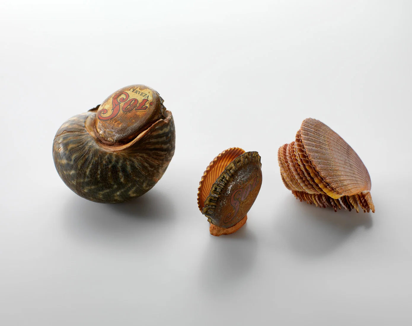 Adapt/adopt, Scullop, Scallop Stack