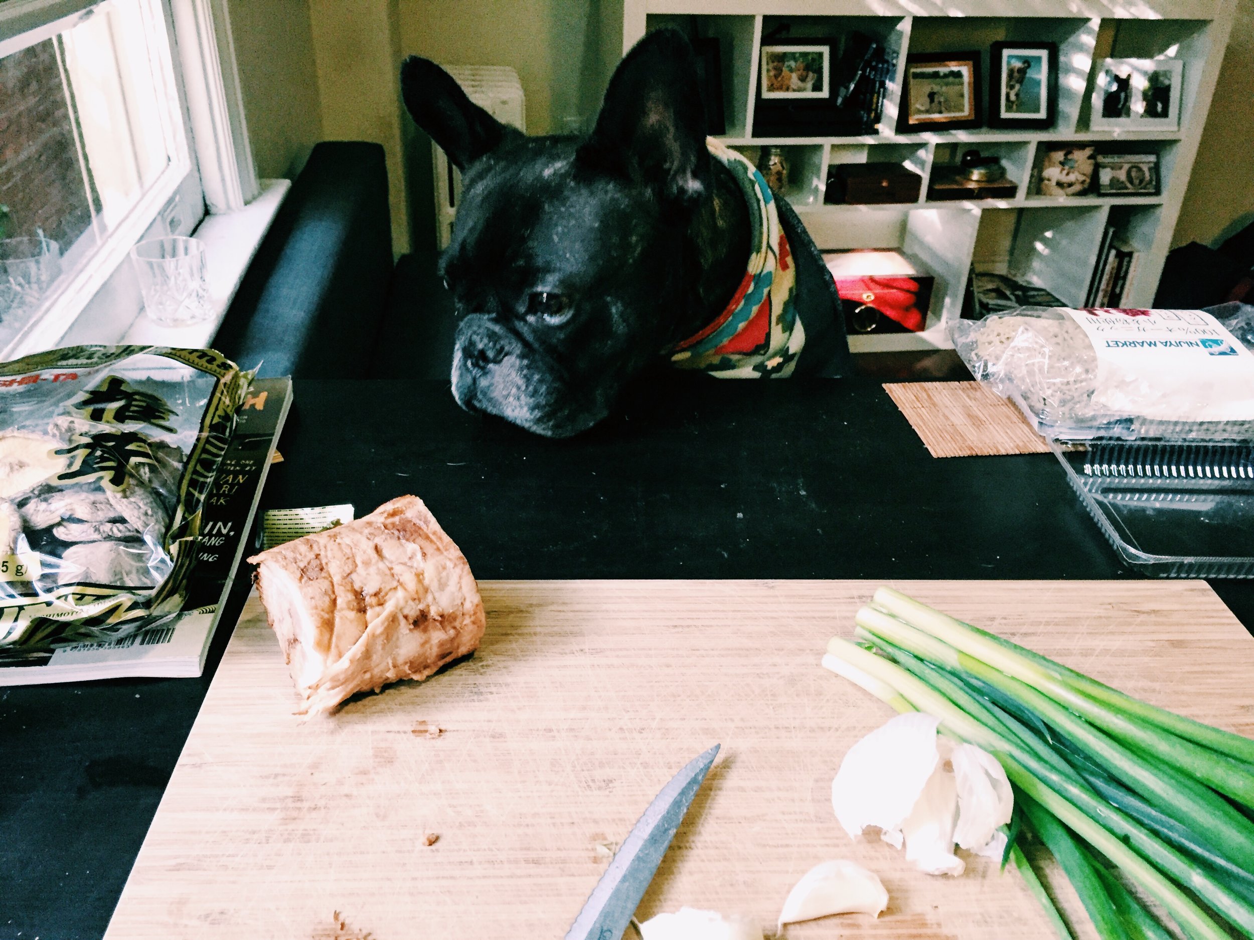 image17.jpeg