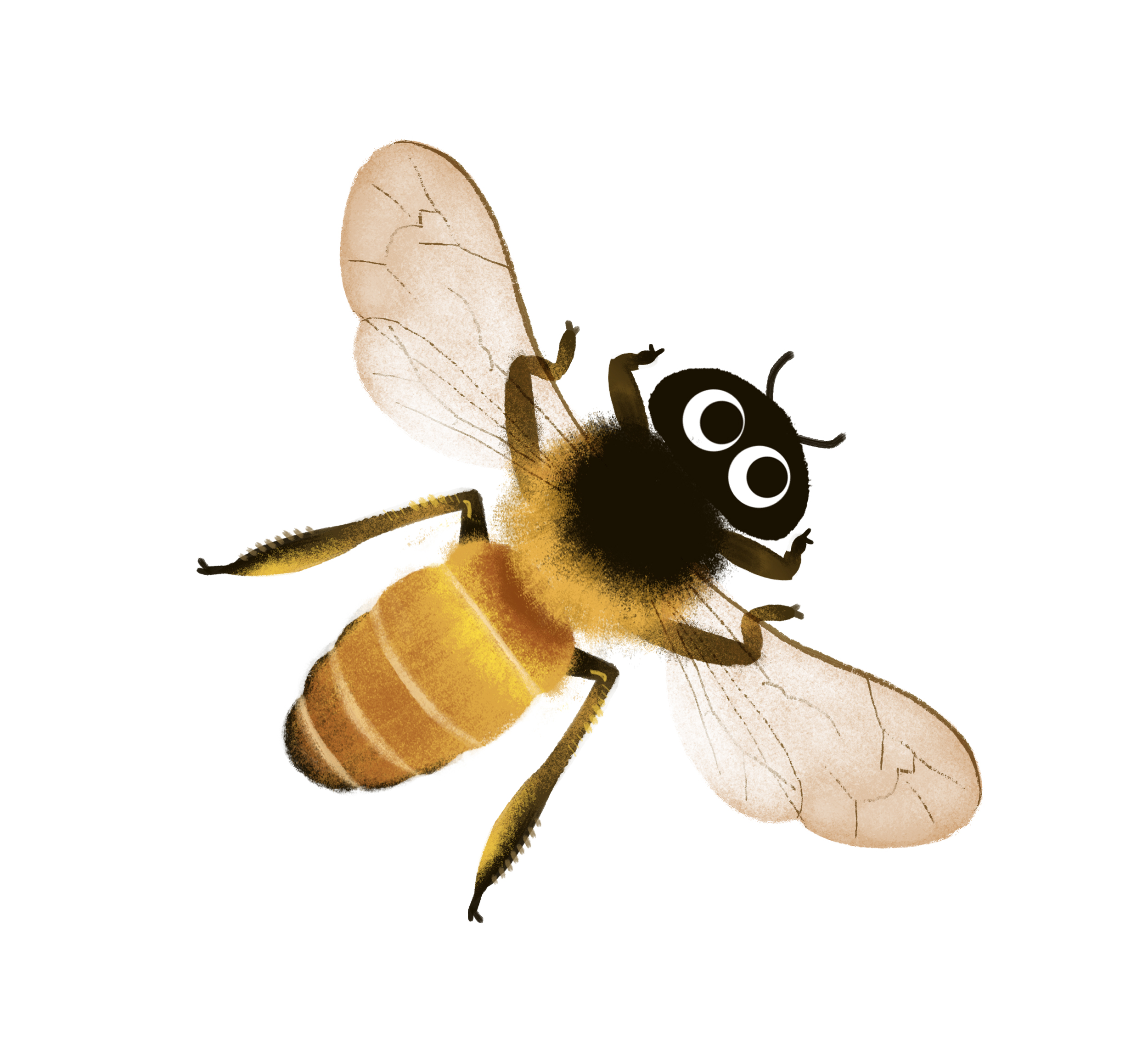 NYC's Honeybee Conservancy Featured in Google's Earth Day Doodle