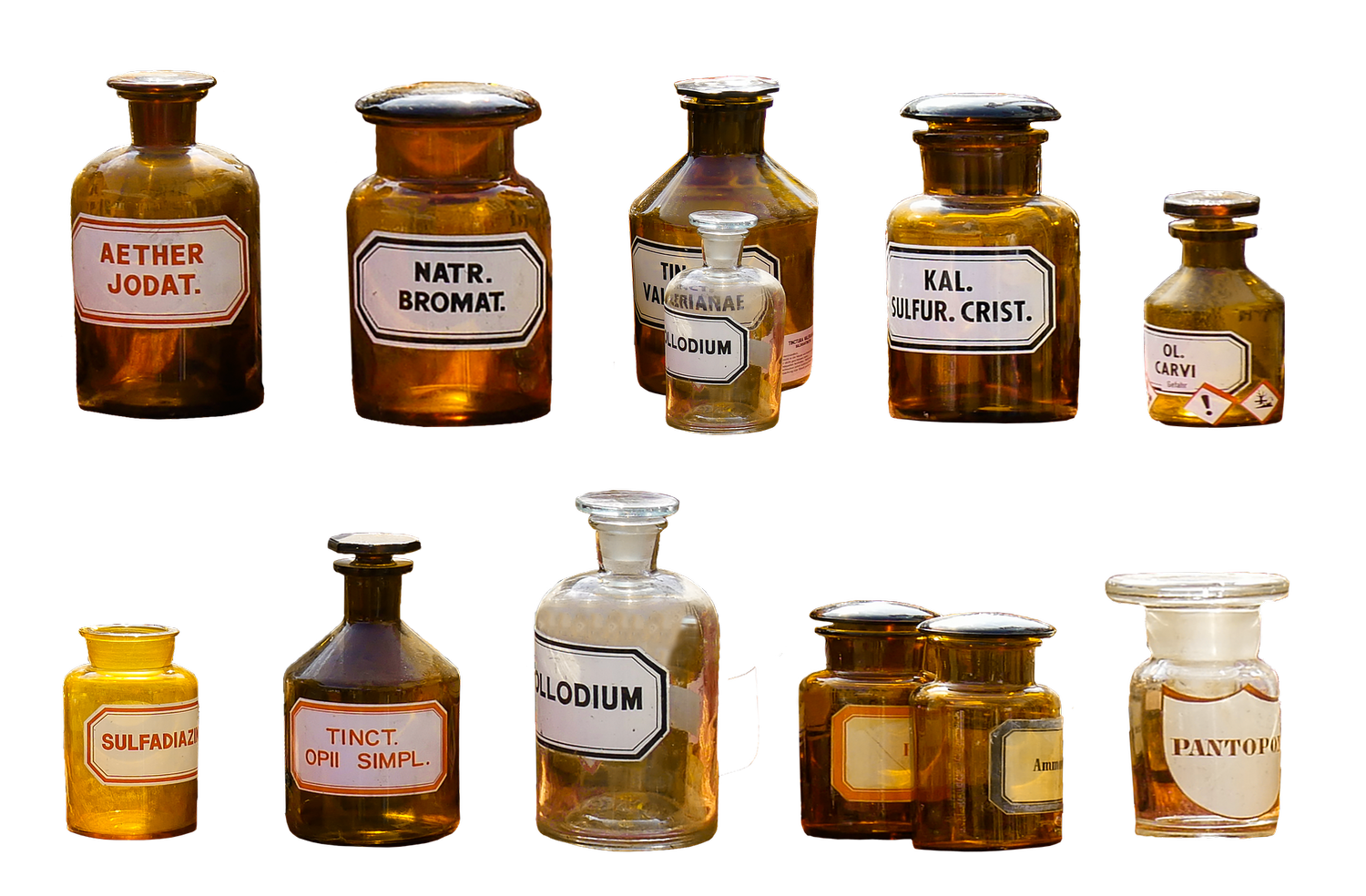 claire zimmerman naturopathic physician botanical medicine herbalism plants homeopathy flower essences