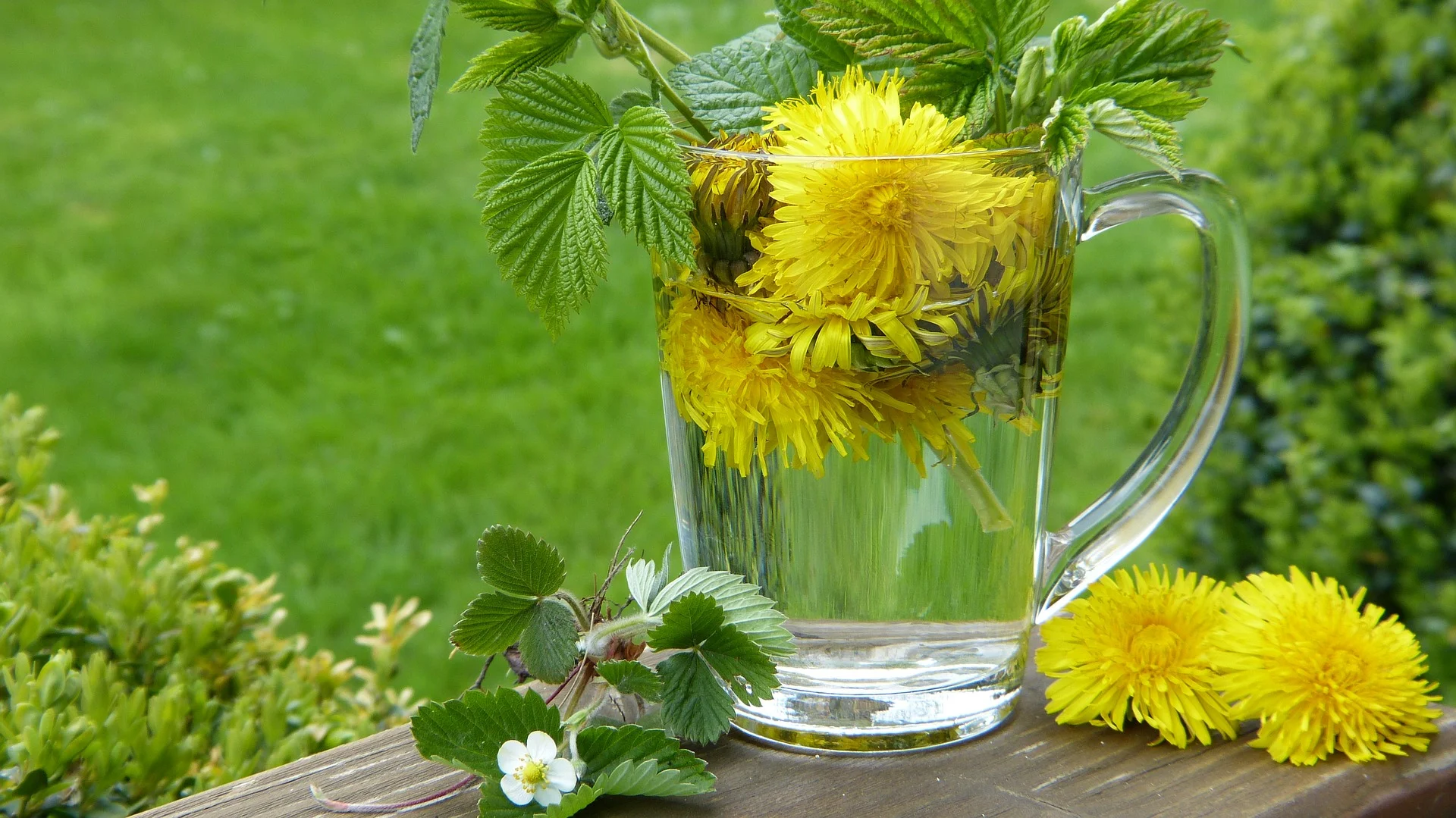 herbal dandelion beverage.jpg