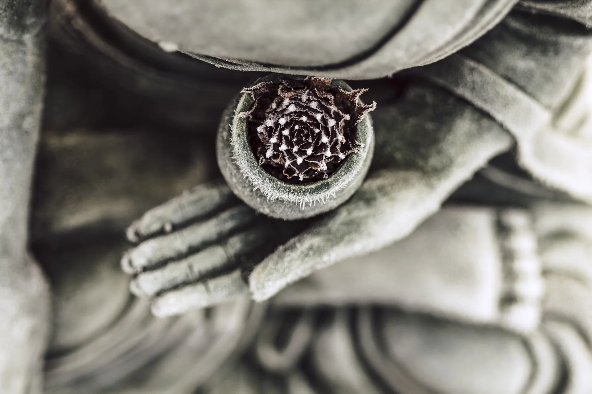 meditation hand .jpg