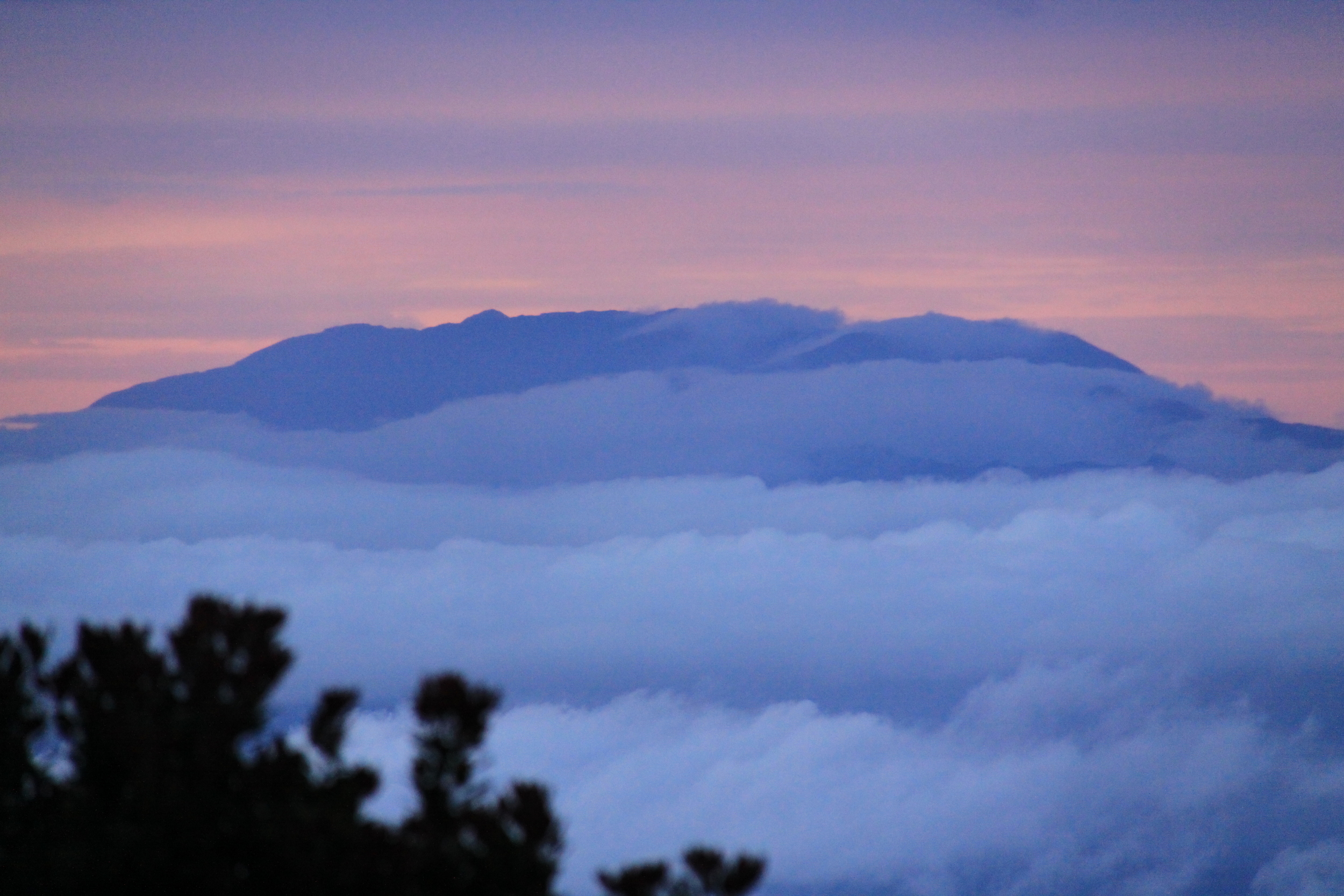Mt. Leuser National Park, Indonesia