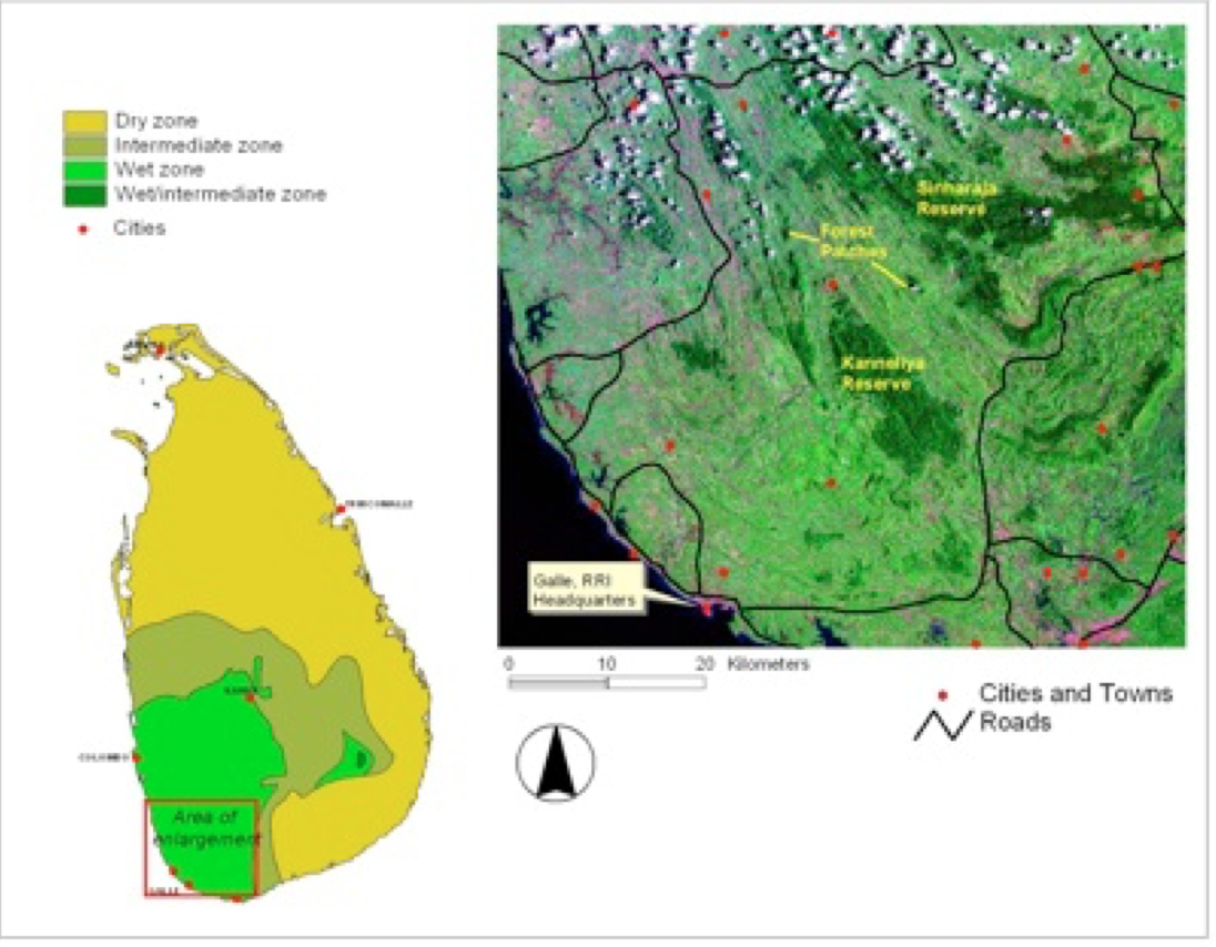 The fragmented rainforests of southern Sri Lanka- Only 5% of this ecosystems is left for Leopards, Elephants and other critically endangered species.