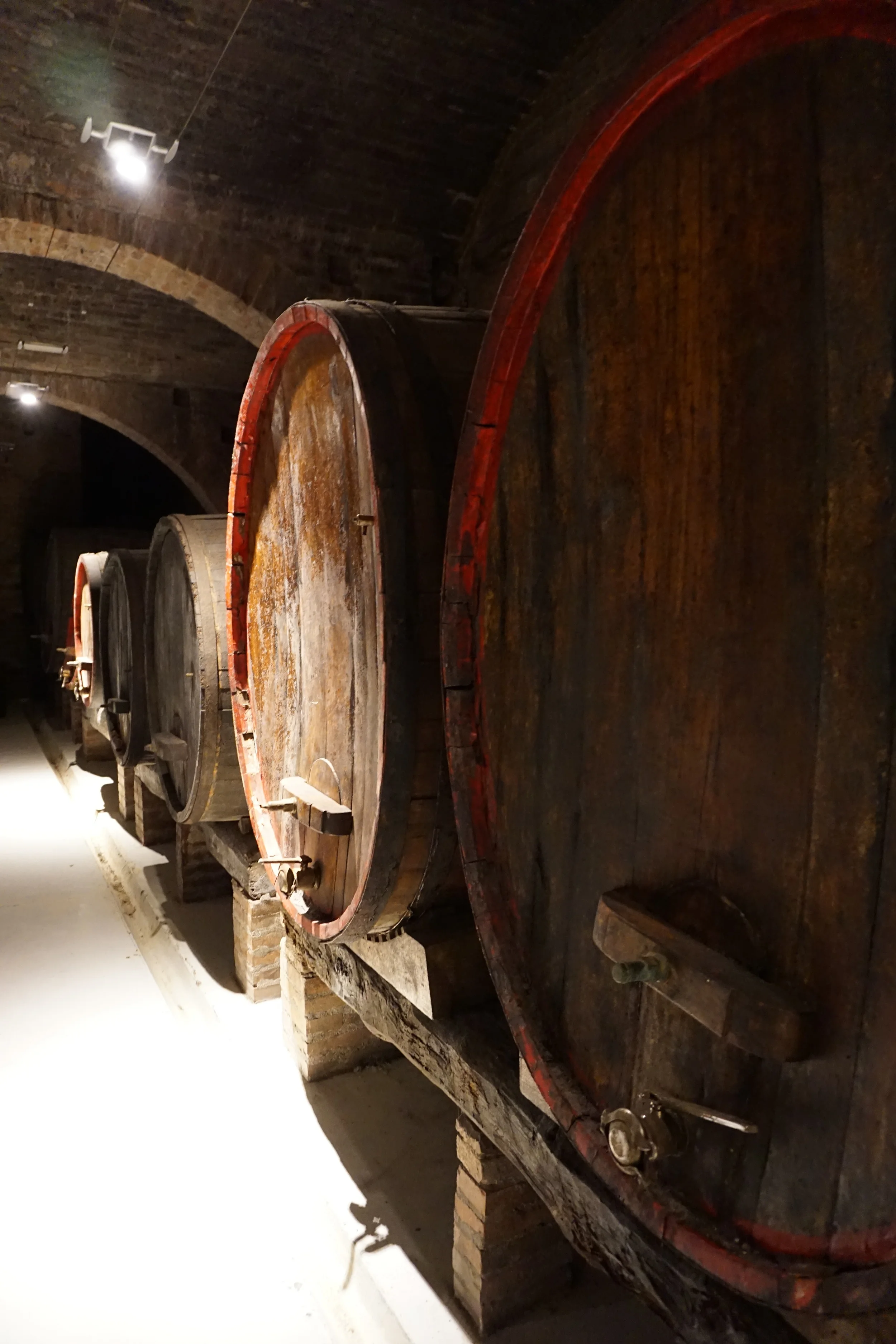 Barrels of fun