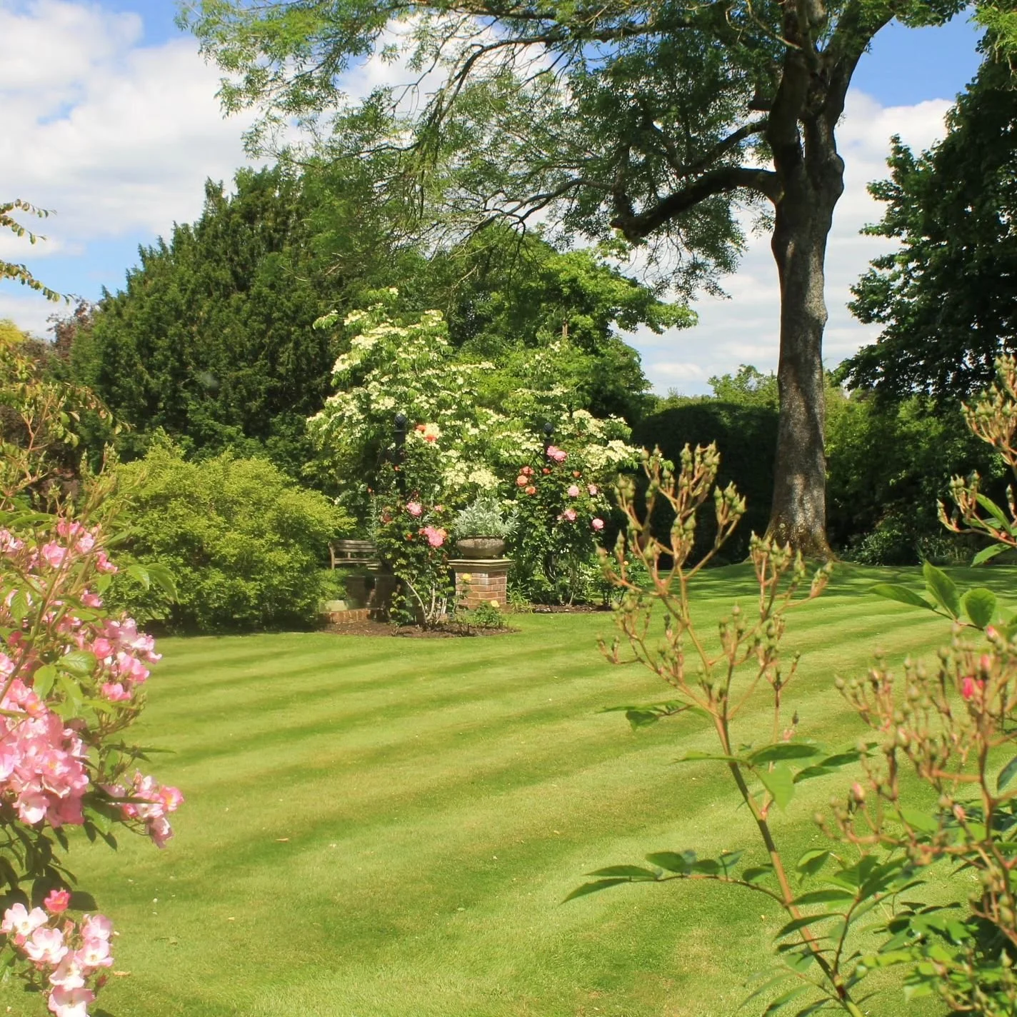 Surrey Gardens Trust