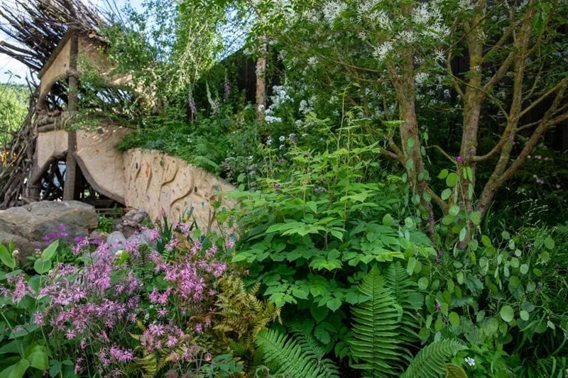 Special Creative Grant for Surrey Heath Schools