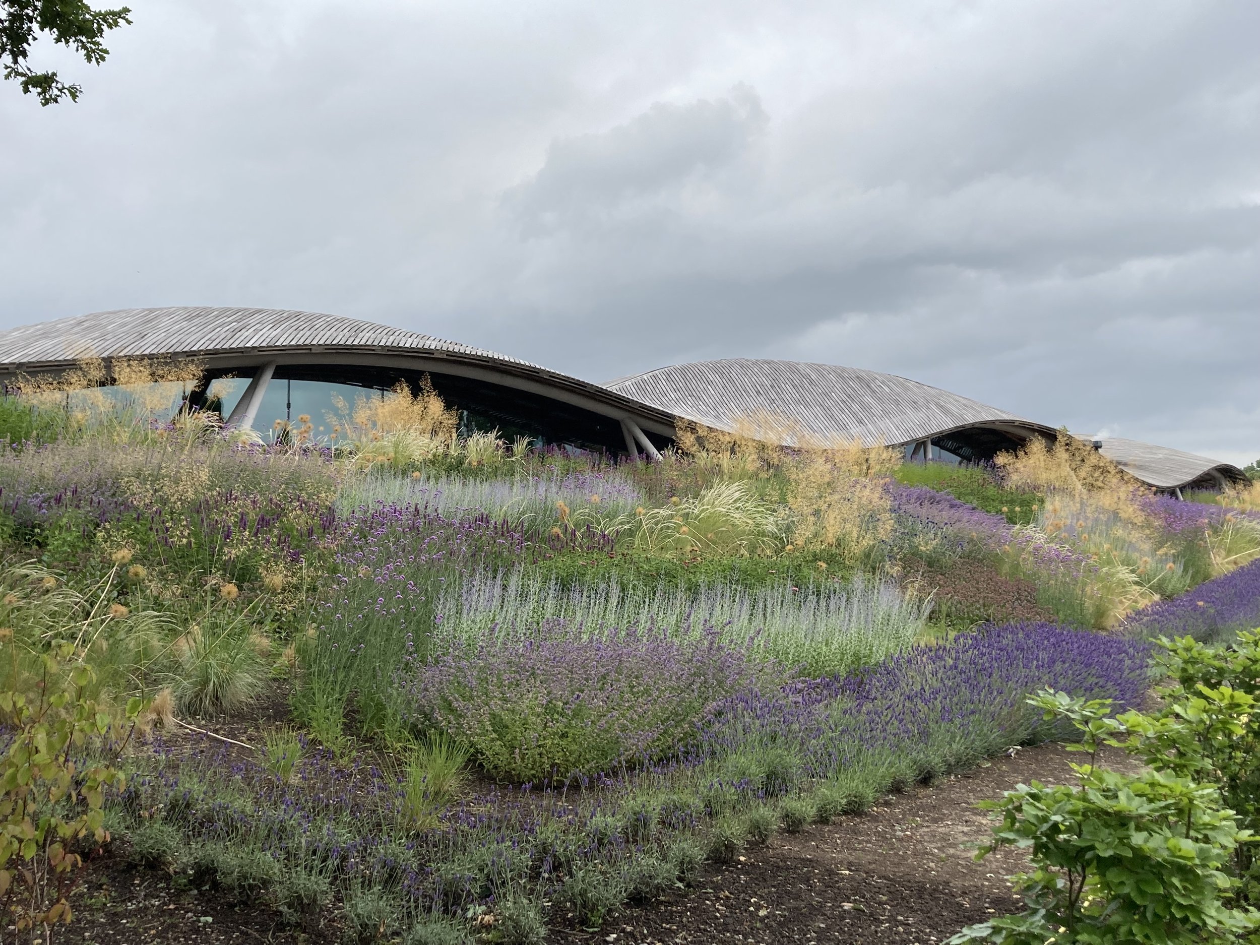 Savill Garden Visit and Talk