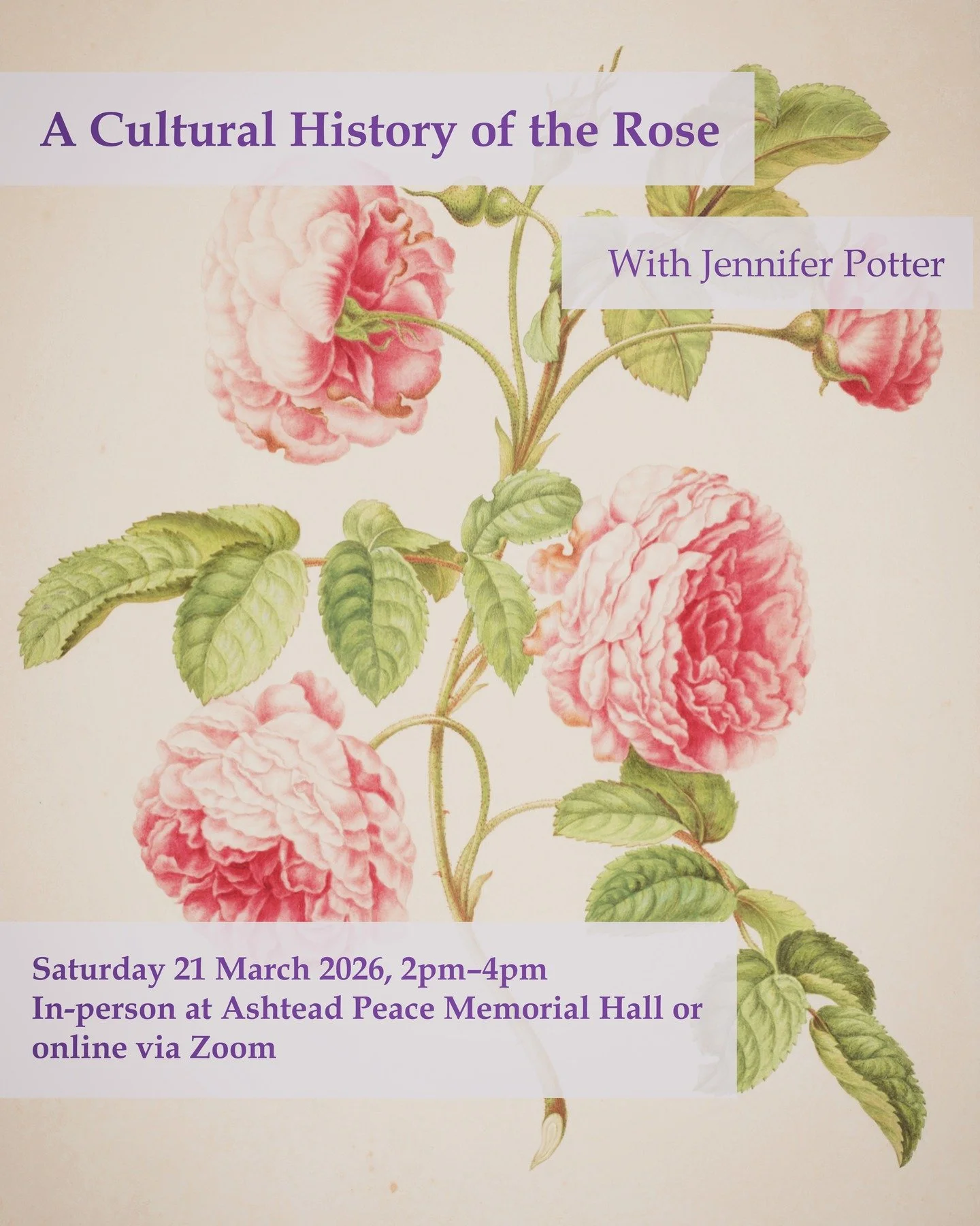 🌹Roses are red &hellip; but their story might surprise you!

Join us for a captivating talk with acclaimed writer Jennifer Potter, who will unravel the extraordinary journey of the rose from a humble briar of the northern hemisphere to the western w