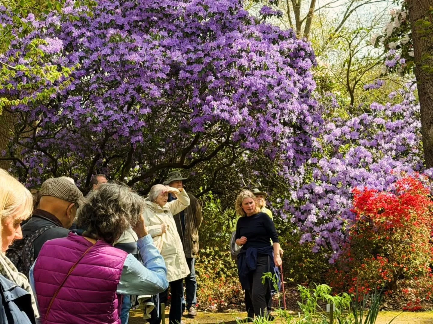 Today&rsquo;s member visit to Savill Garden with members alongside @berkshiregardenstrust was an absolute delight!

We were treated to an informative talk by John Anderson, the current keeper, who shared the rich history of the garden along with insi
