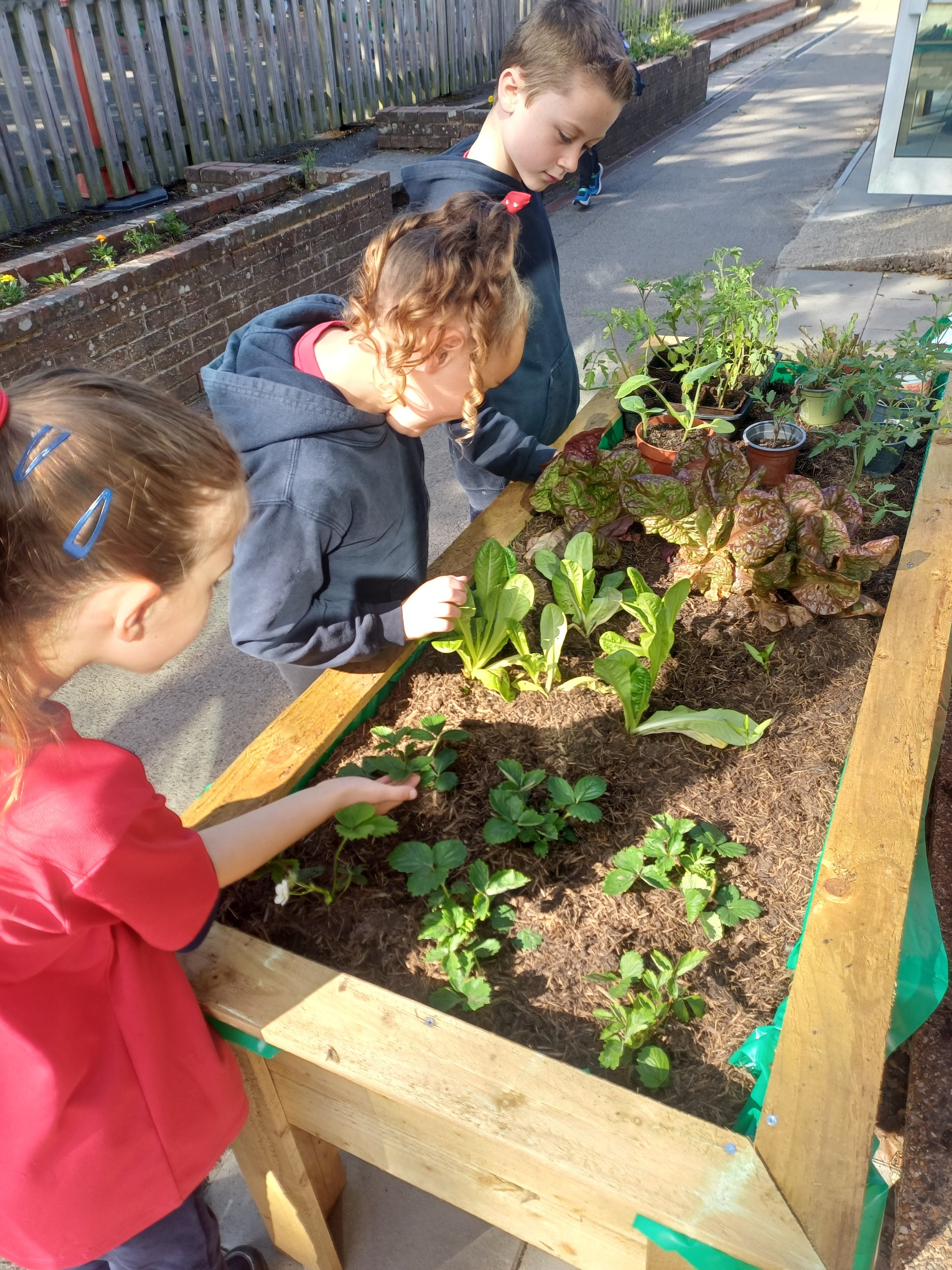 Children Reap the Benefits of our Schools Awards