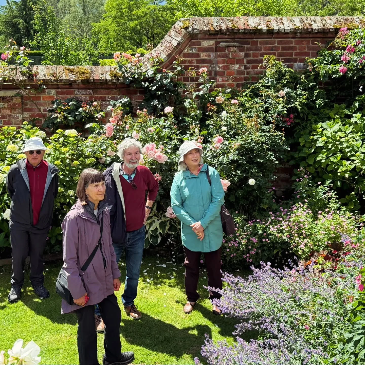 Yesterday we spent a glorious morning exploring the beautiful gardens of the Manor House, Haslemere.

It's easy to see why these remarkable terraced gardens were once known as the "Hanging Gardens of Haslemere", cascading down the hillside 