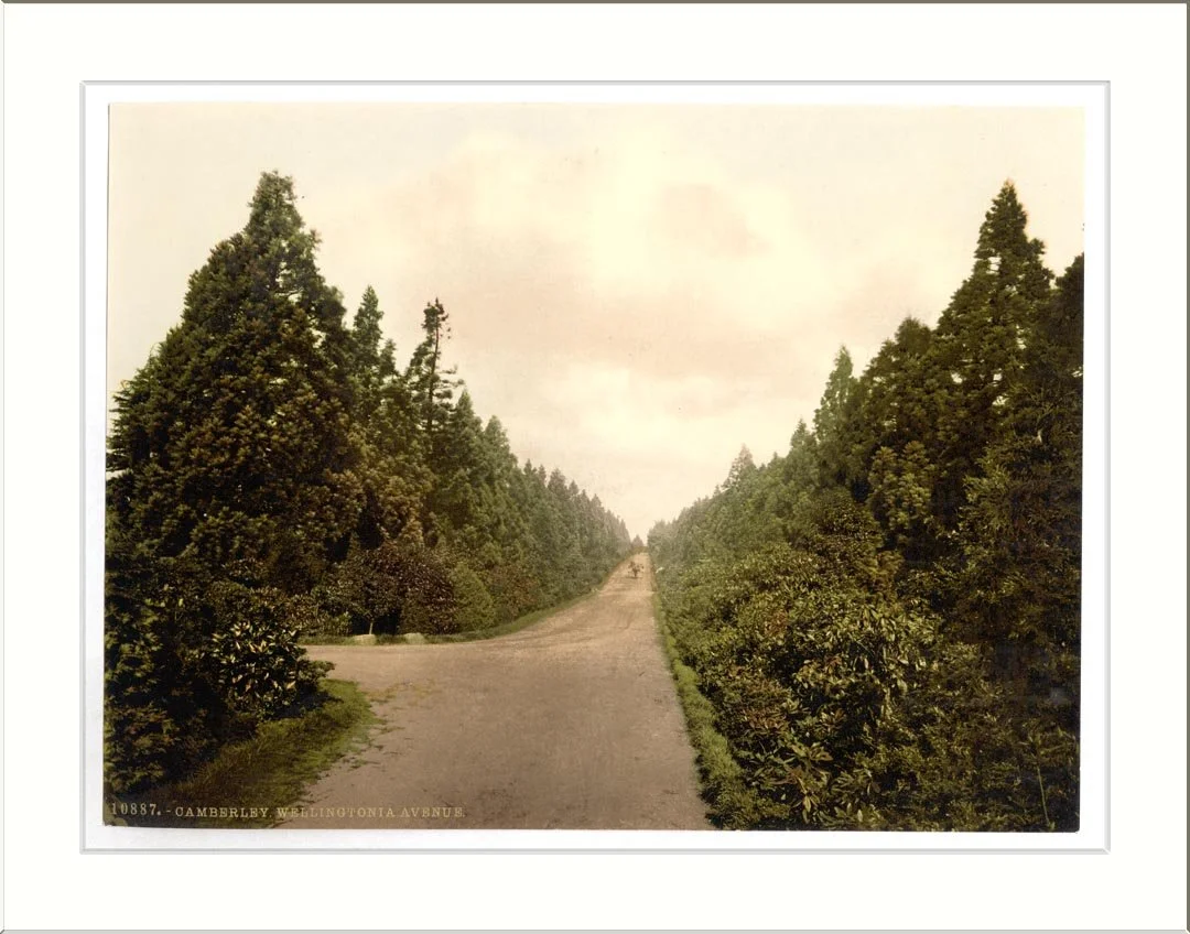 Surrey Heath Adopts New Local Heritage List