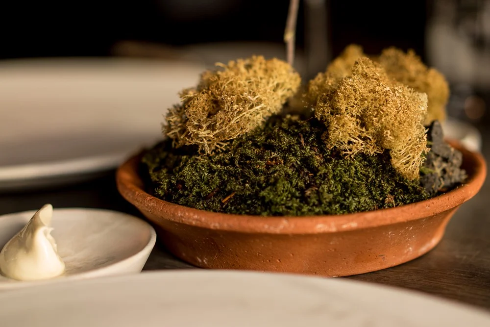 Dried reindeer moss dusted with cep mushrooms, Noma.