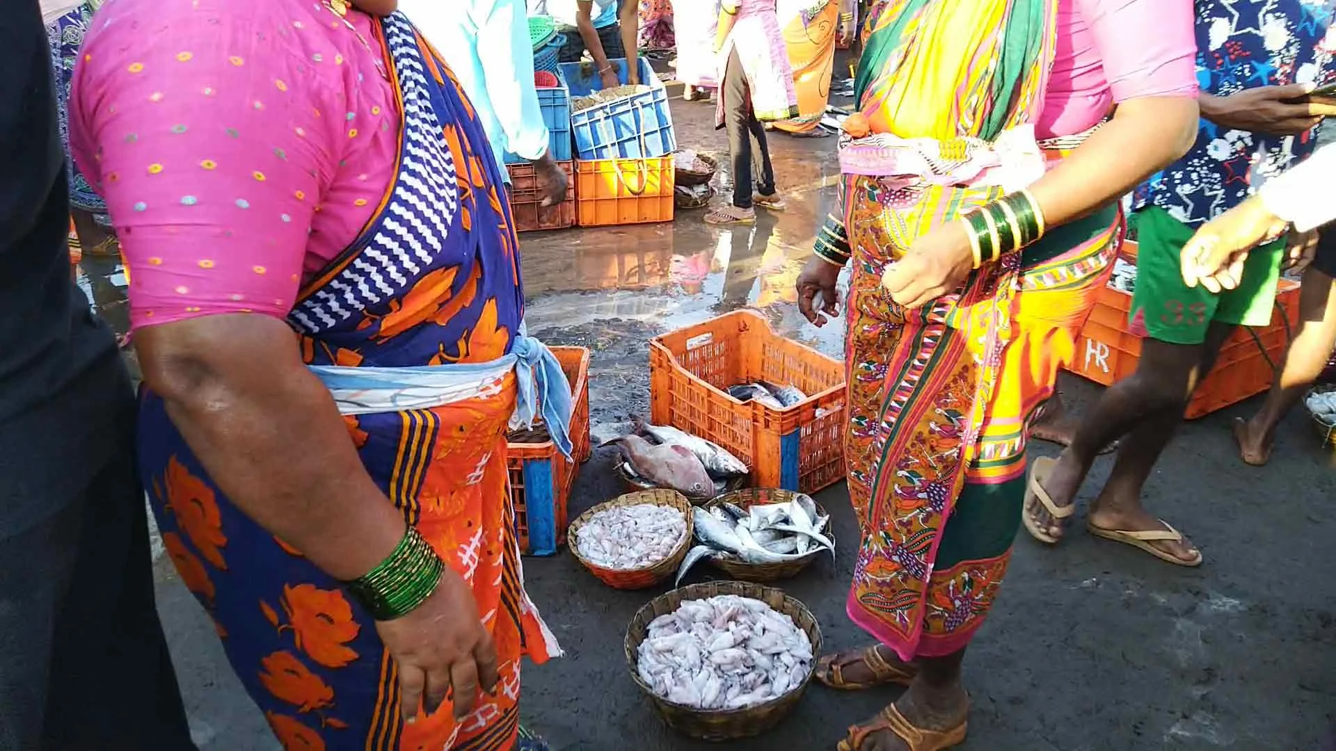 Image credit: Taluka Dapoli