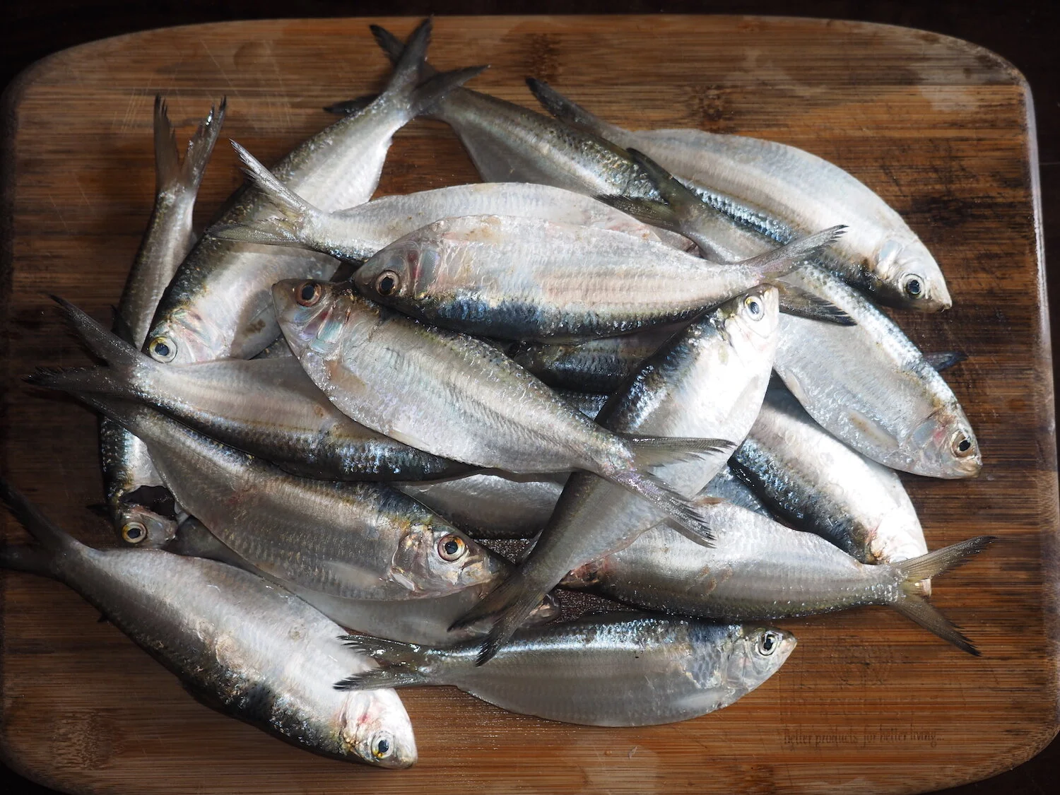  Teflachem Humón: The Story of a Fish and A Berry    