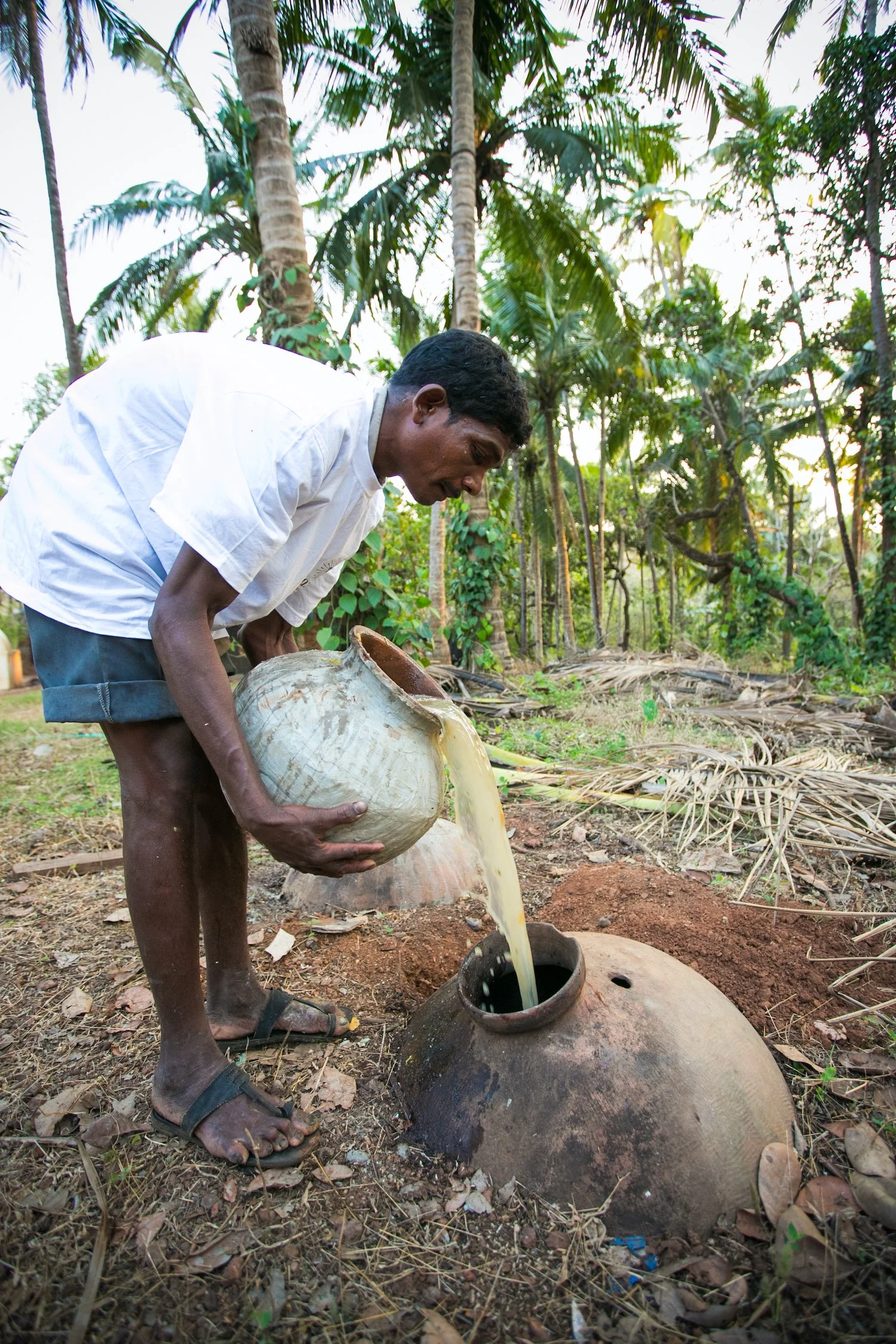Hurrah! It's Uracca Season in Goa — GOYA