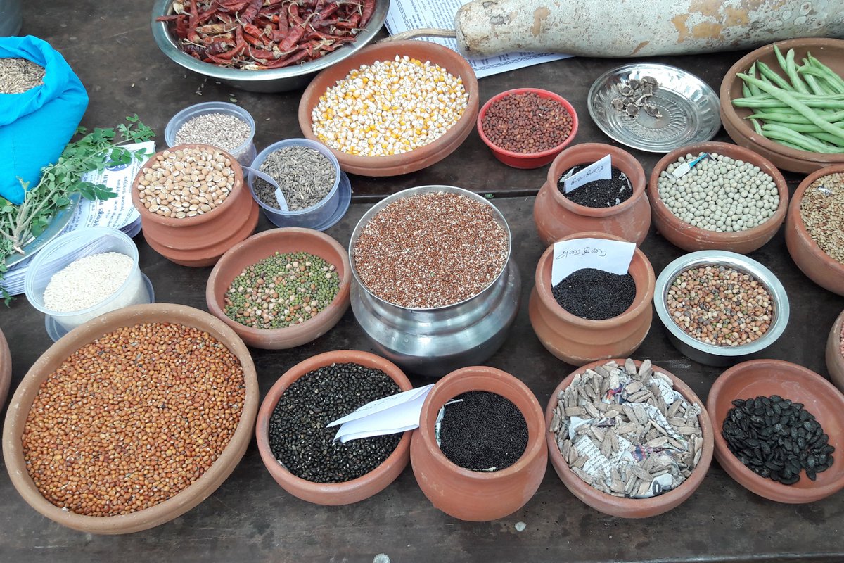 At a seed exchange mela organised by the TNWC_2.jpg