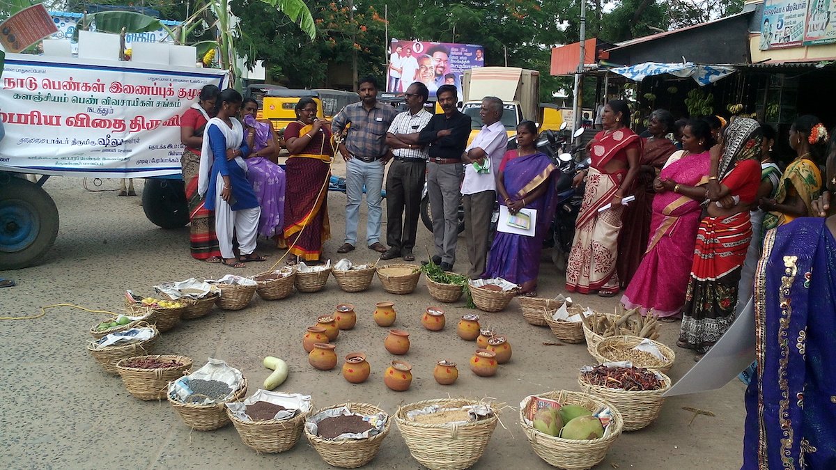 At TNWC's seed exchange melas, women exchange not only seeds but also other produce from their land.jpg