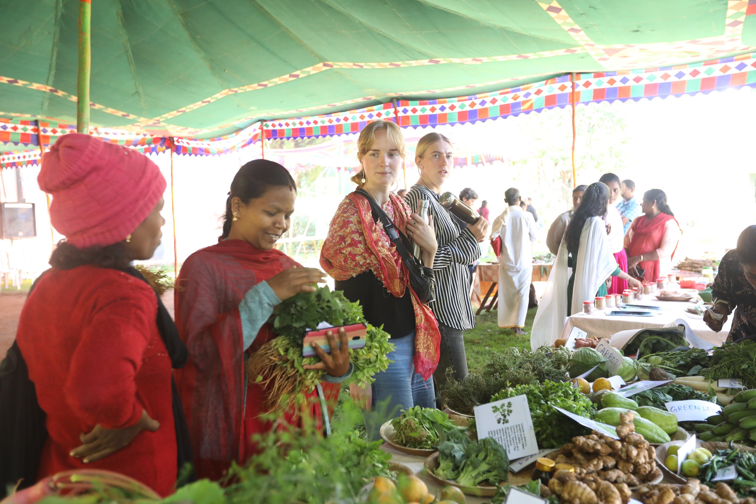 Local Wild foods display at The Habba 2022 3.JPG