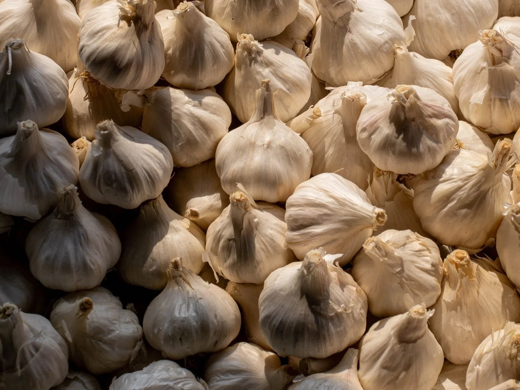 A Primer to Mangalore Catholic Masalas: Your Shortcut to Flavour