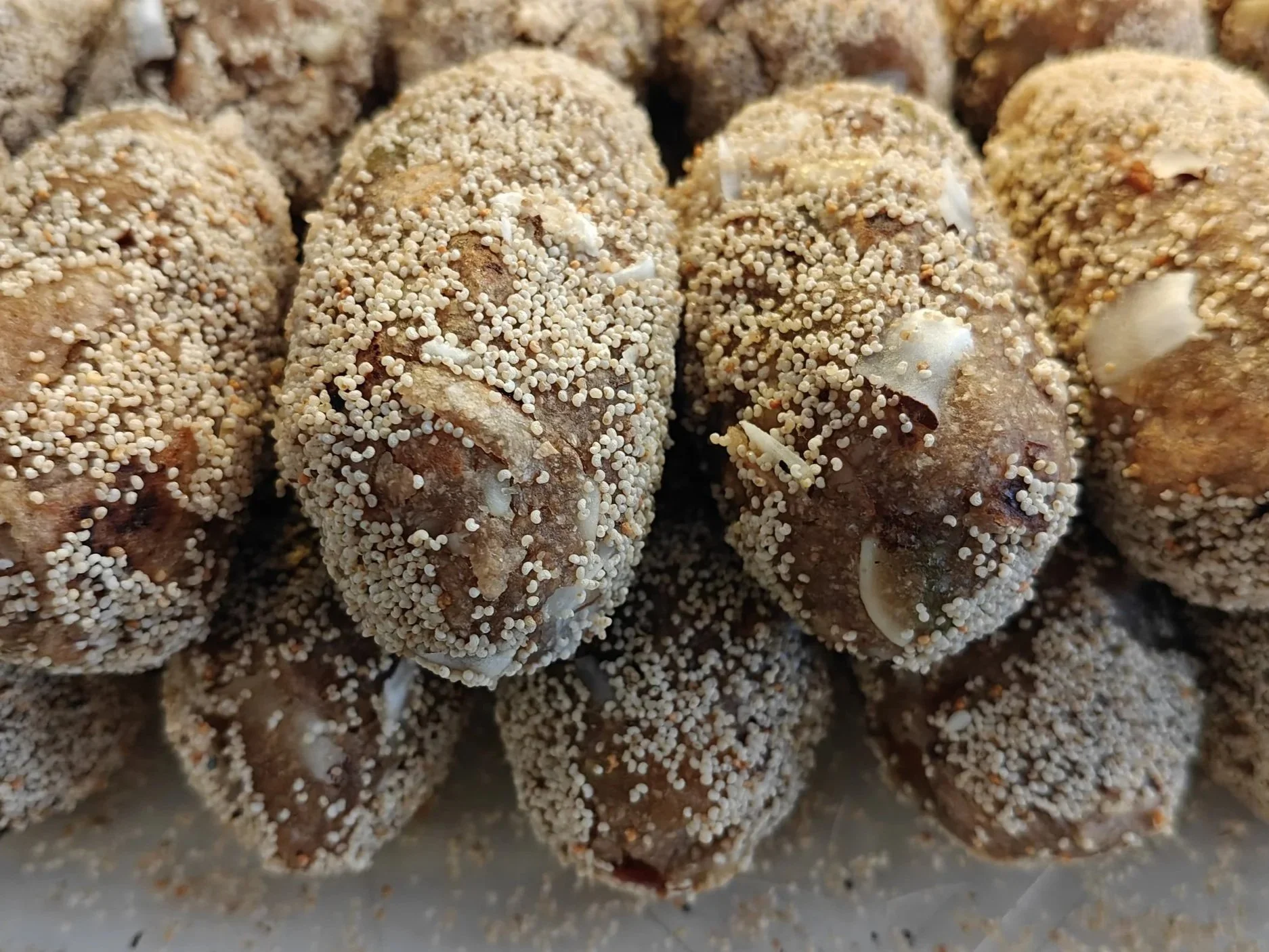 Tosha is a Sacred Sufi Sweet Treat Steeped in Ritual & Community