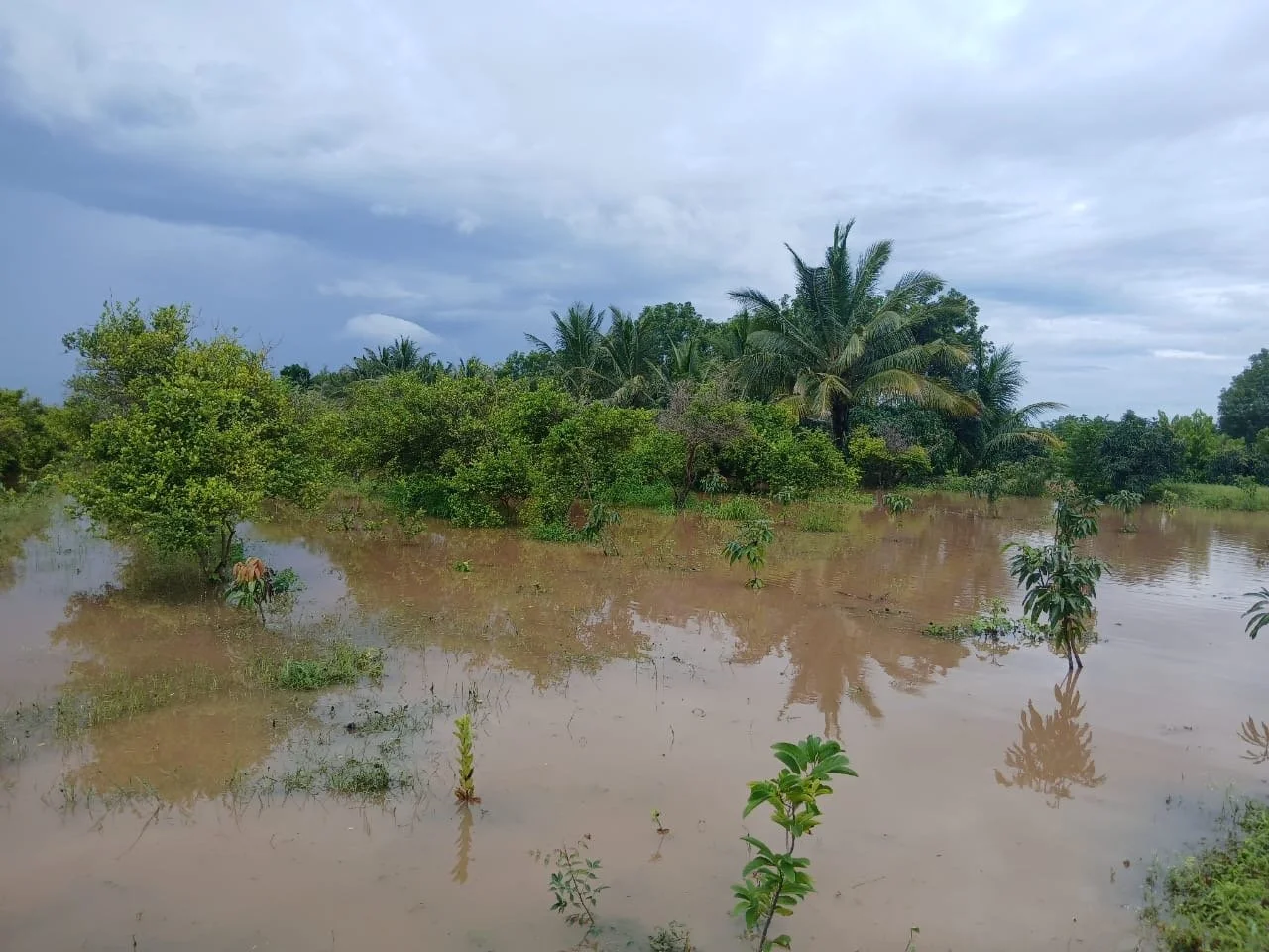 The Monsoon That Wouldn't End