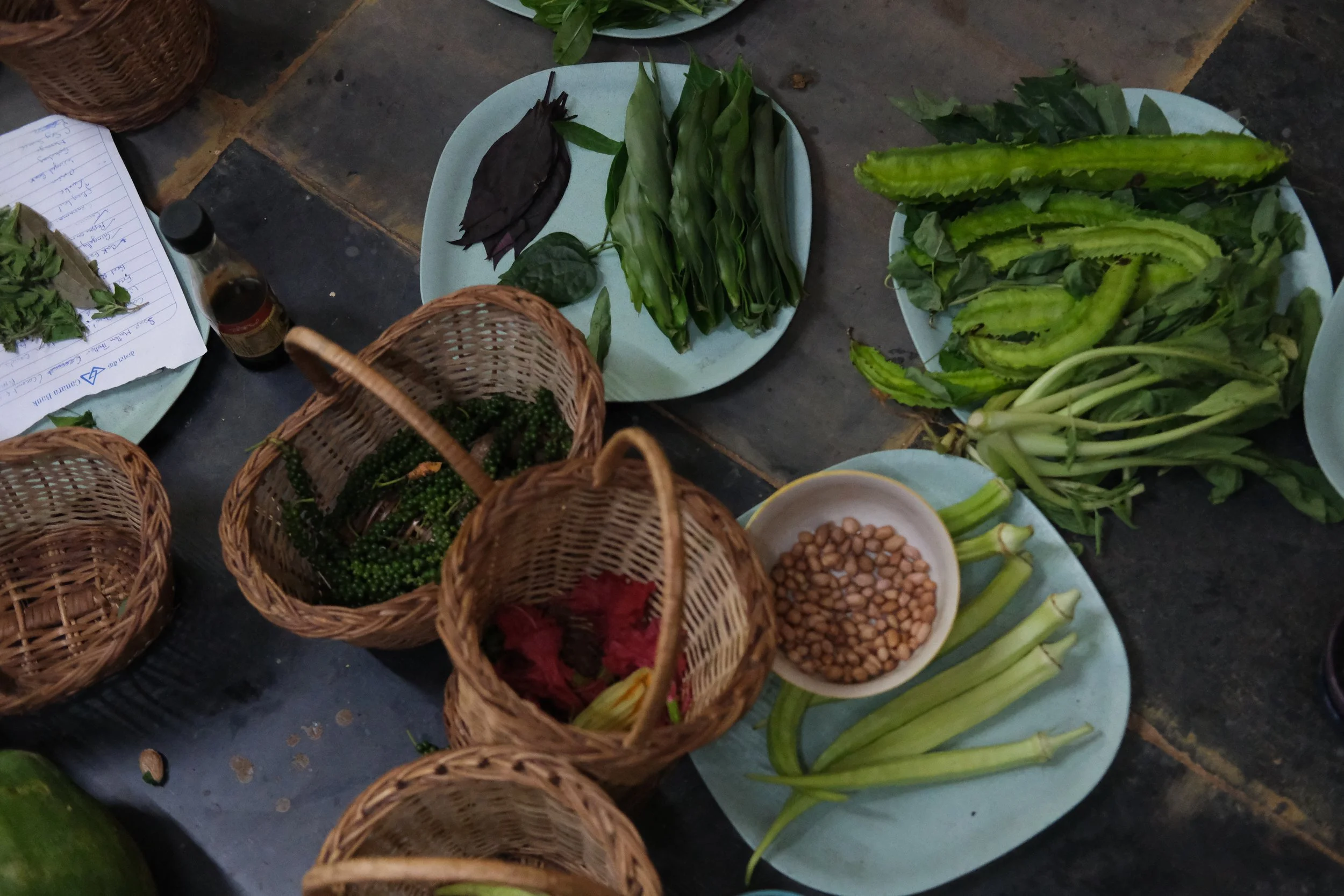 Exploring Craft Chocolate and Farm to Table Meals at Varanashi Organic Farm