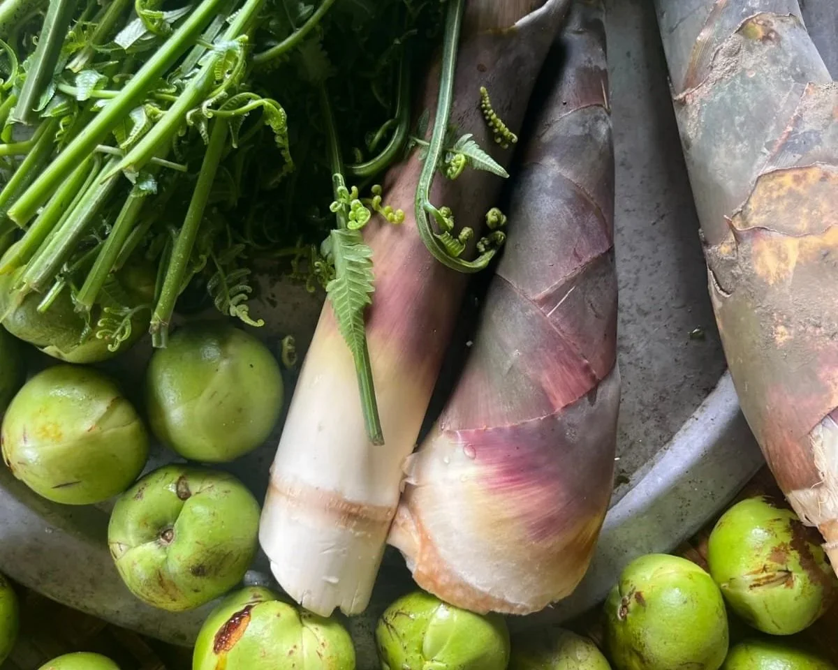 Eating the Landscape: Bamboo and North-East Indian Identity