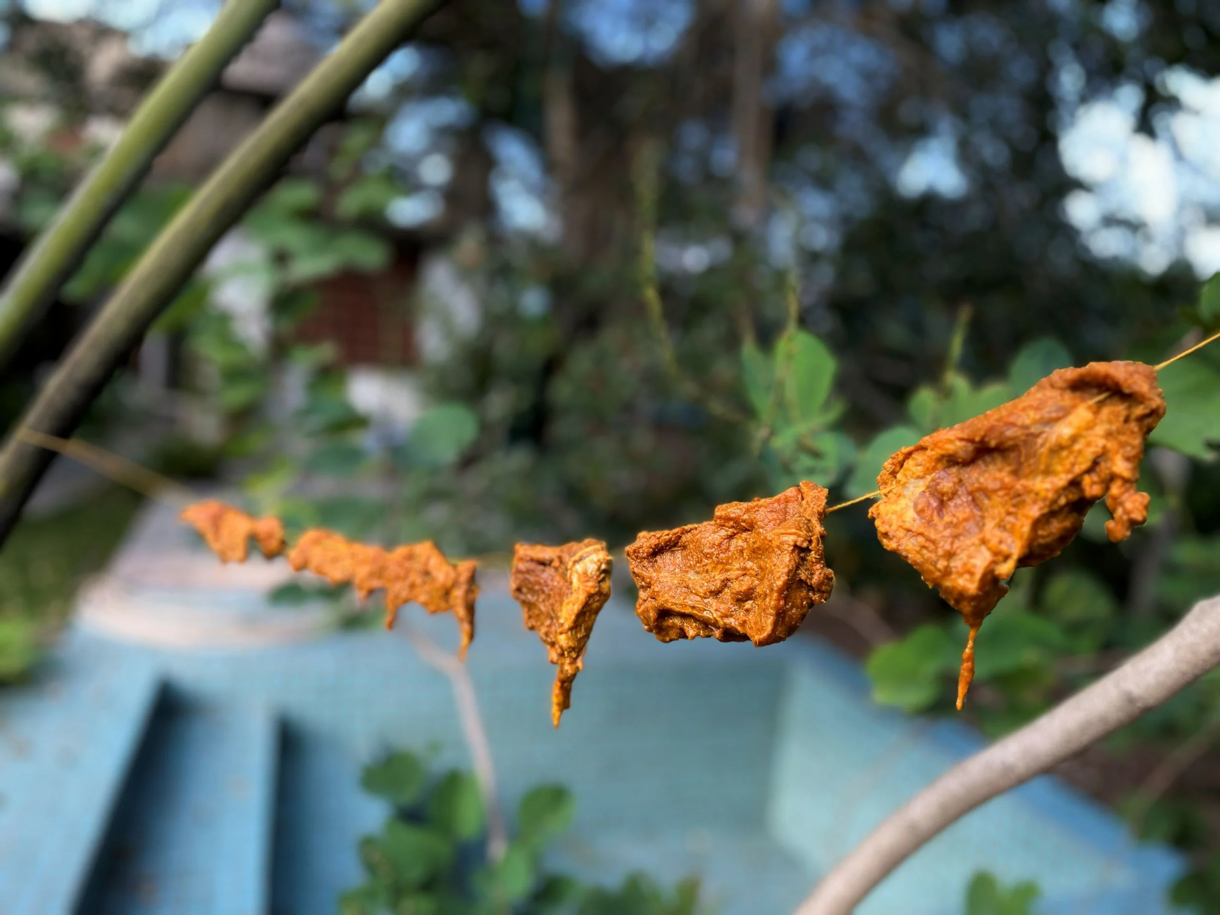 Ding-Ding on a String: A Recipe for Anglo Indian Preserved Meat