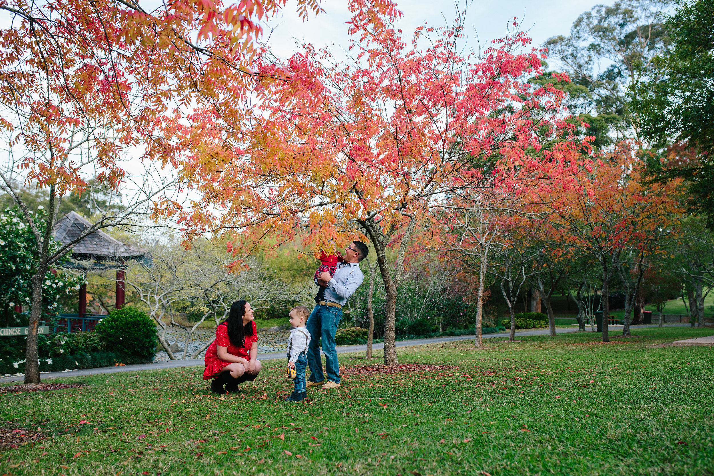 Autumn | Hills District, Sydney