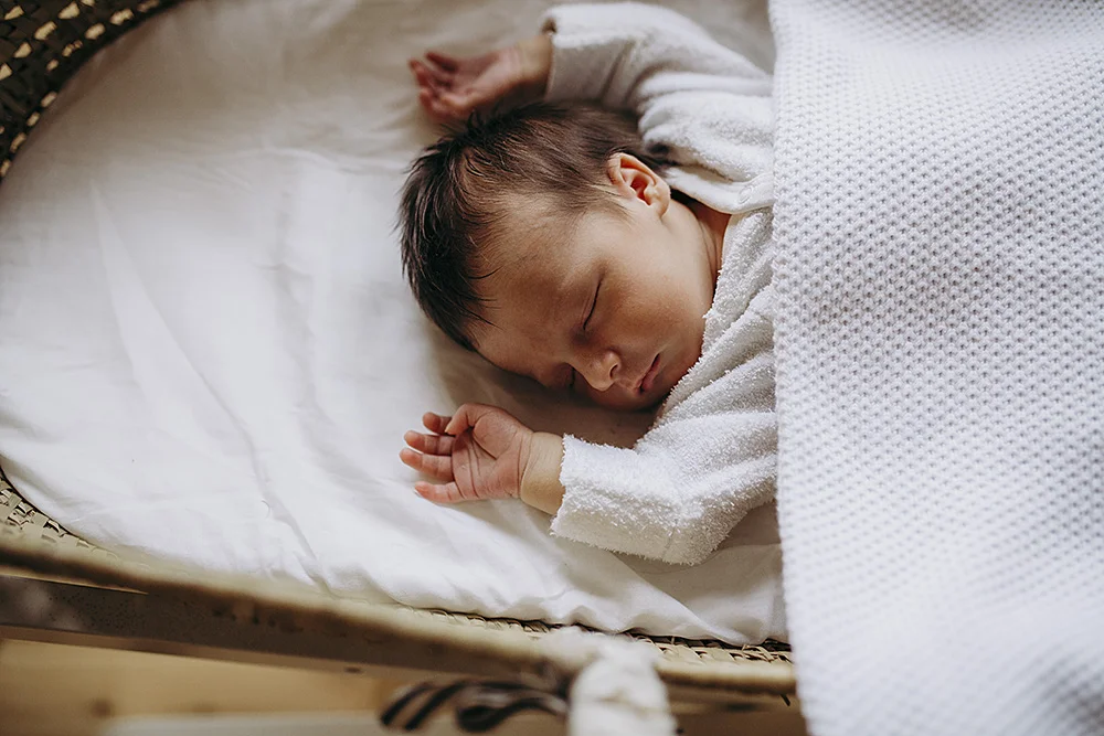 Newborn in moses basket | Lauren Kennedy Photographer
