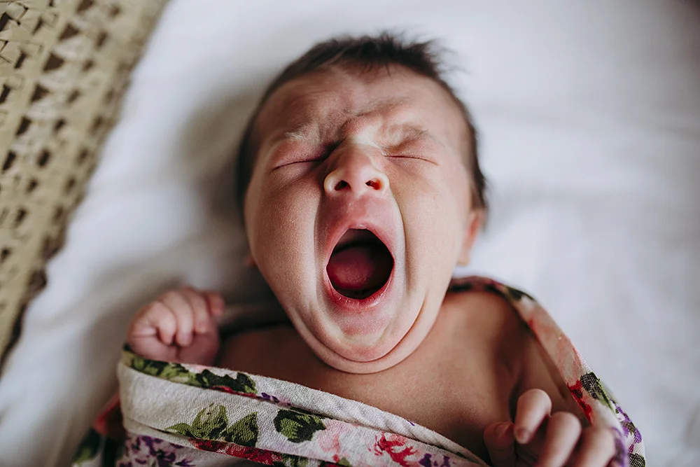Baby Yawn | Hills District Newborn Photography