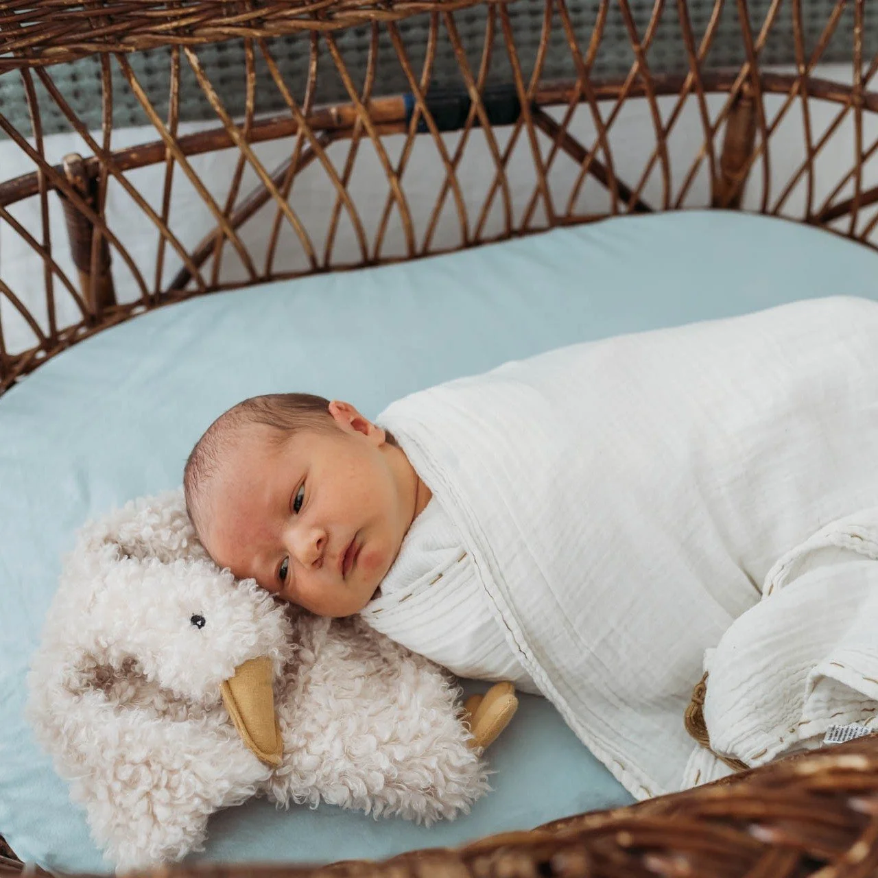 Monty in all his precious newborn glory. Awake, asleep, I don't mind at all.  Capturing cute in all forms since 2015 💕🥰😉