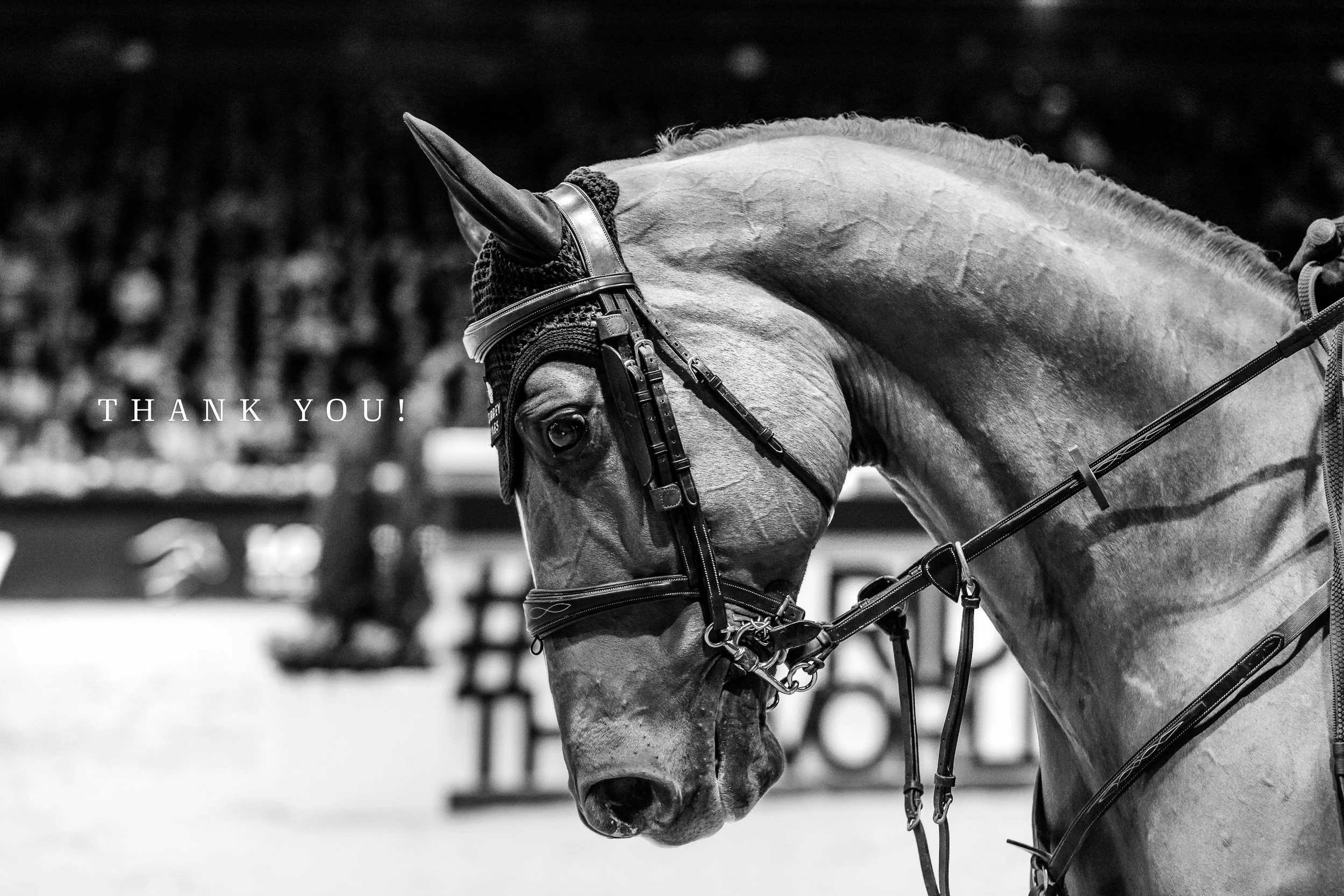 FOR M3 RIDERS_LMLA2016_byNunoMADEIRA_080 copyW.jpg