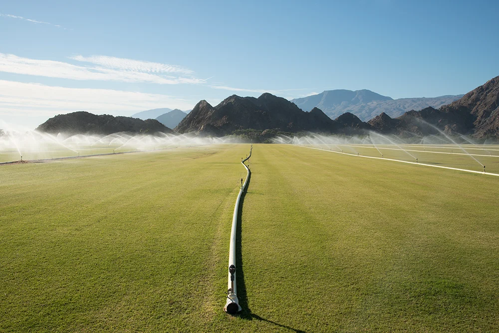 Turf cultivation, La Quinta, California, USA, 2015.