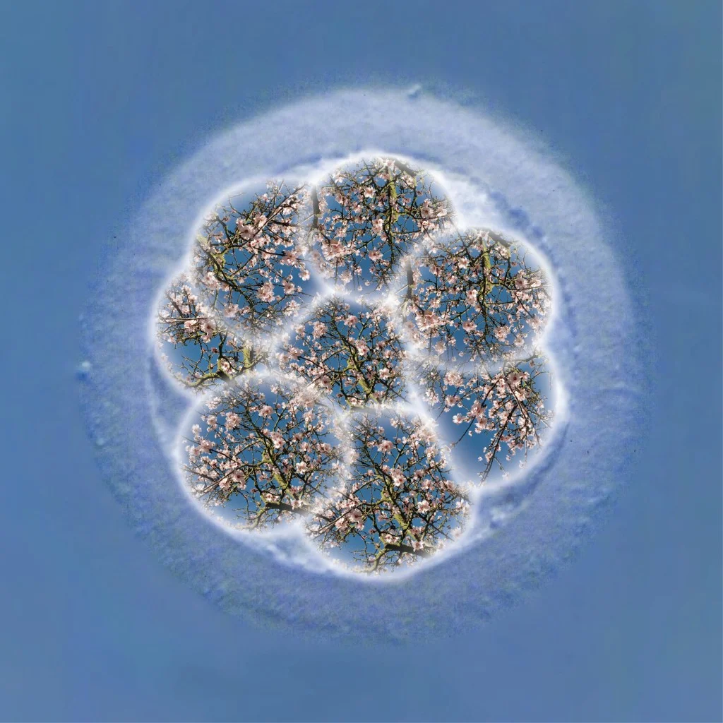New beginnings - 8 cell