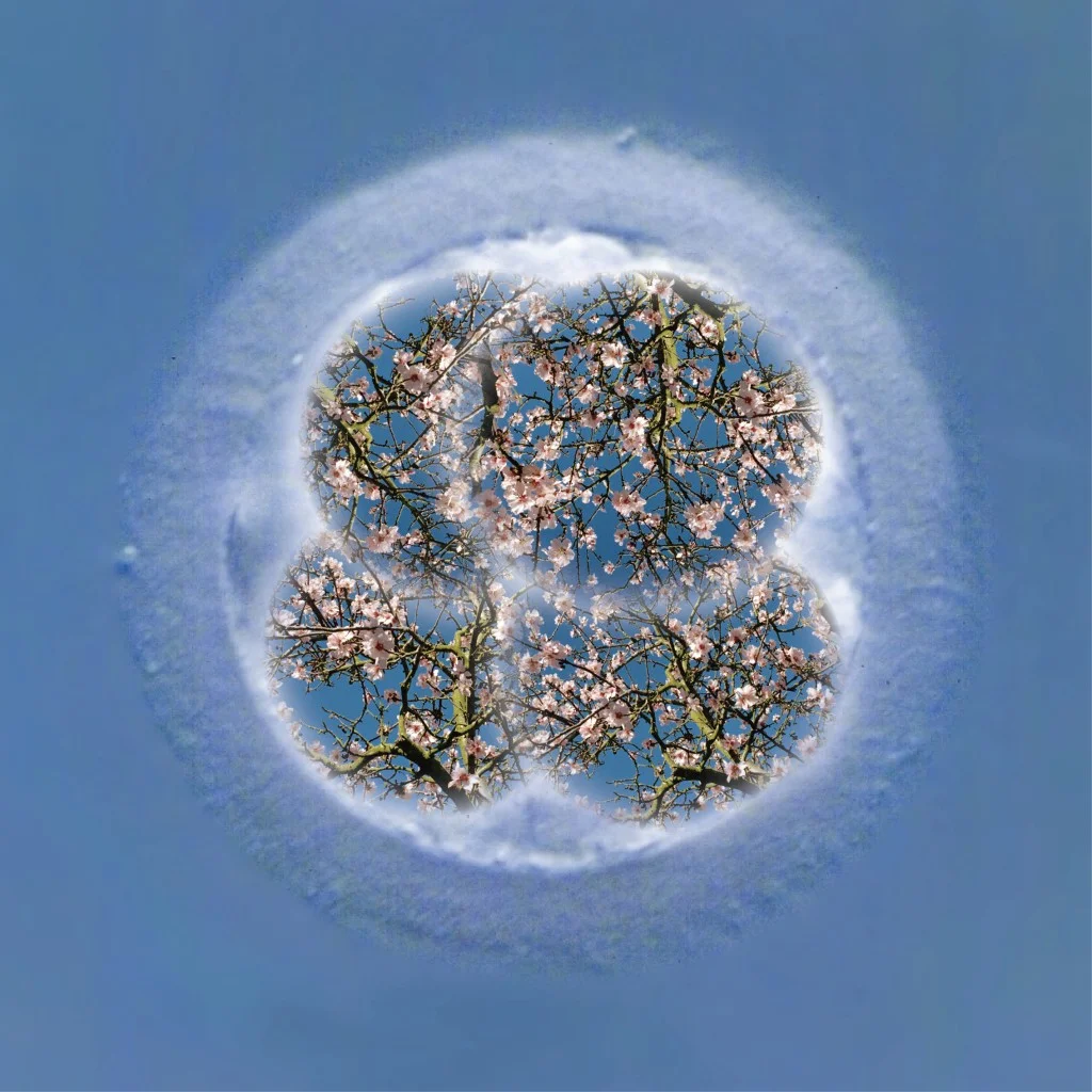 New beginnings - 4 cell