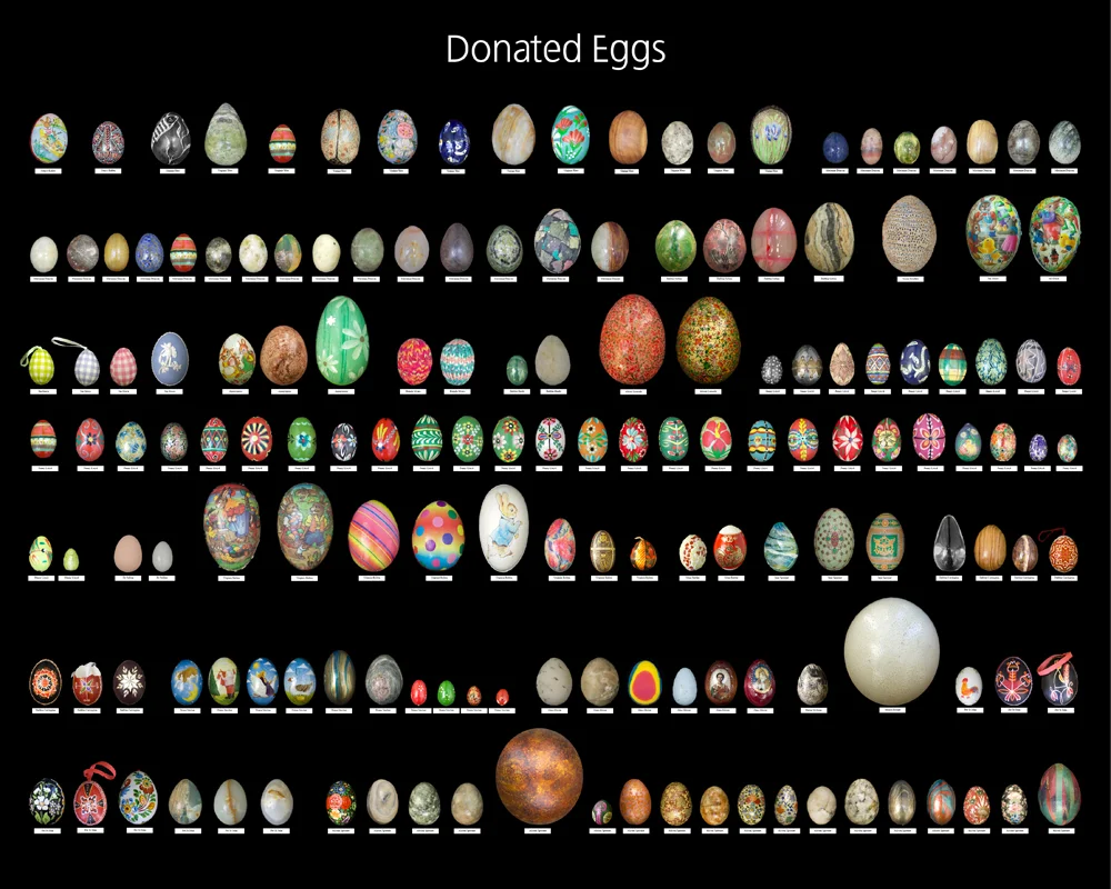 Donated eggs