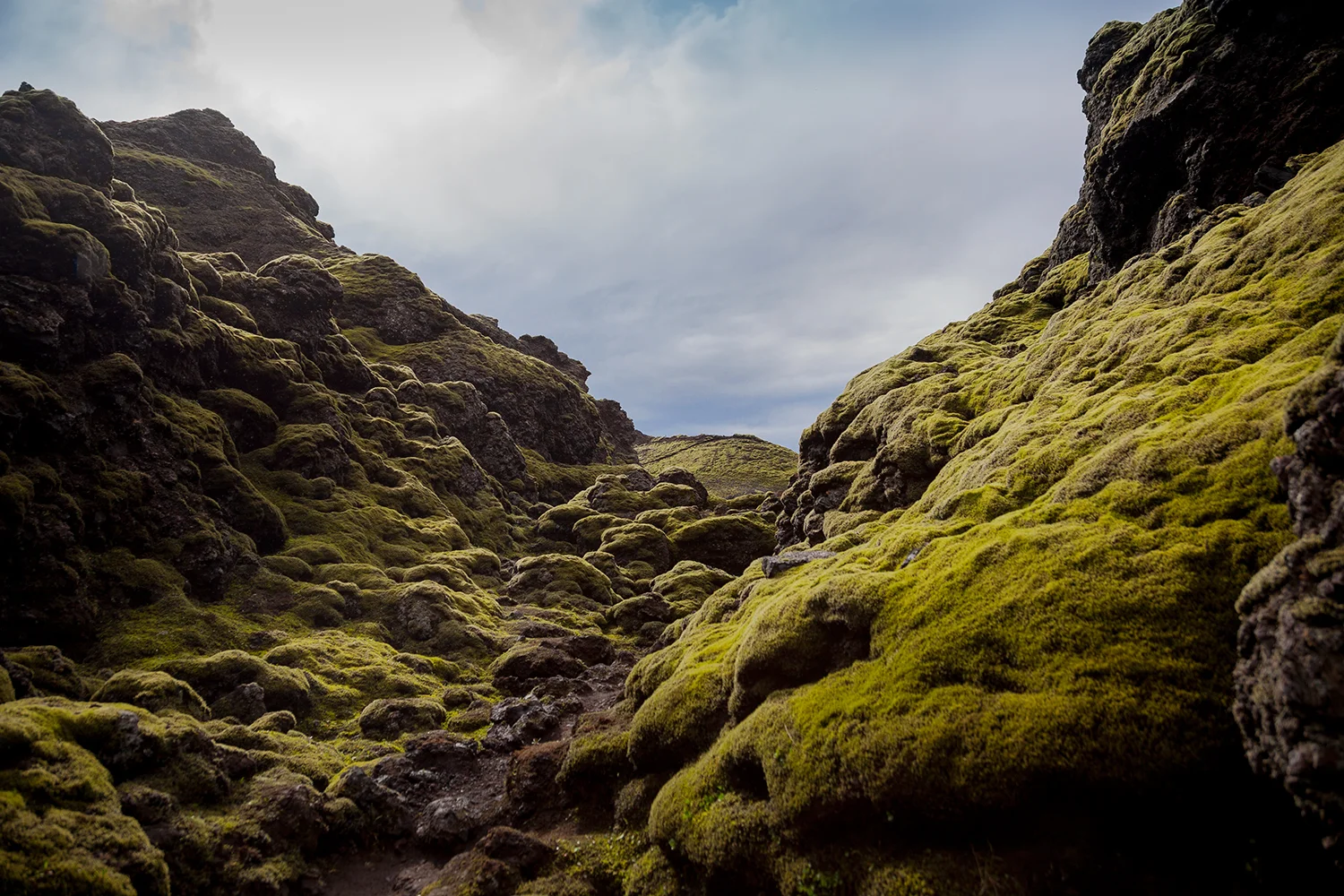 Craters of Laki, Iceland, 2011