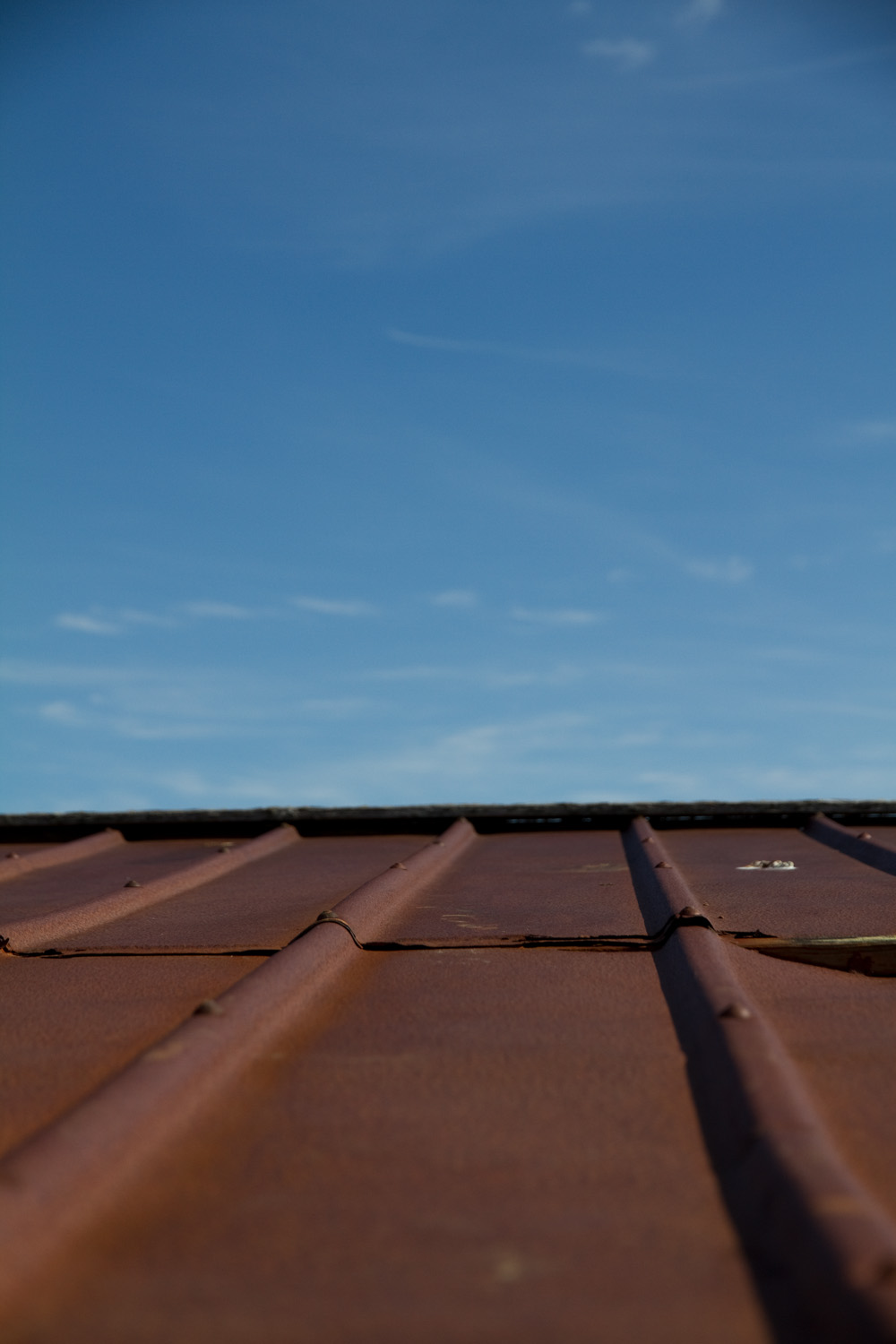 Rusty Roof.jpg