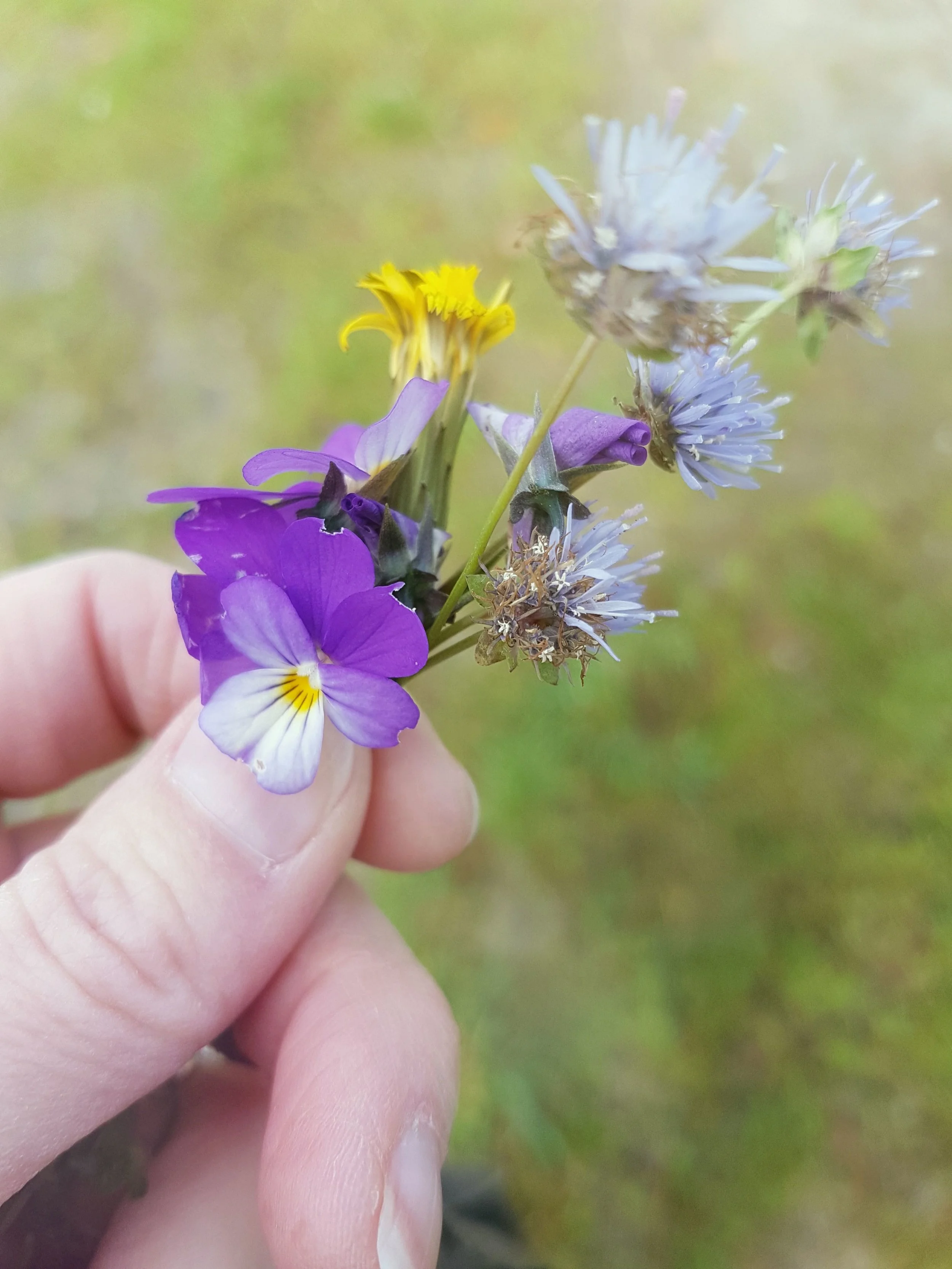 bouquet.jpg