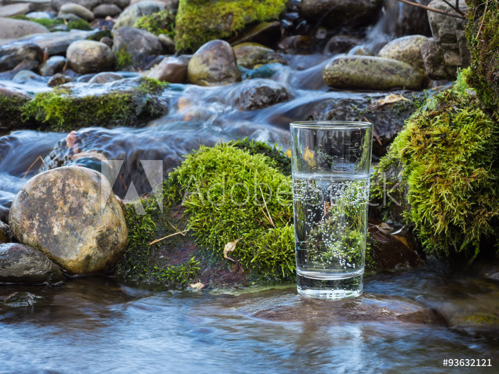 AdobeStock_93632121_WM.jpeg