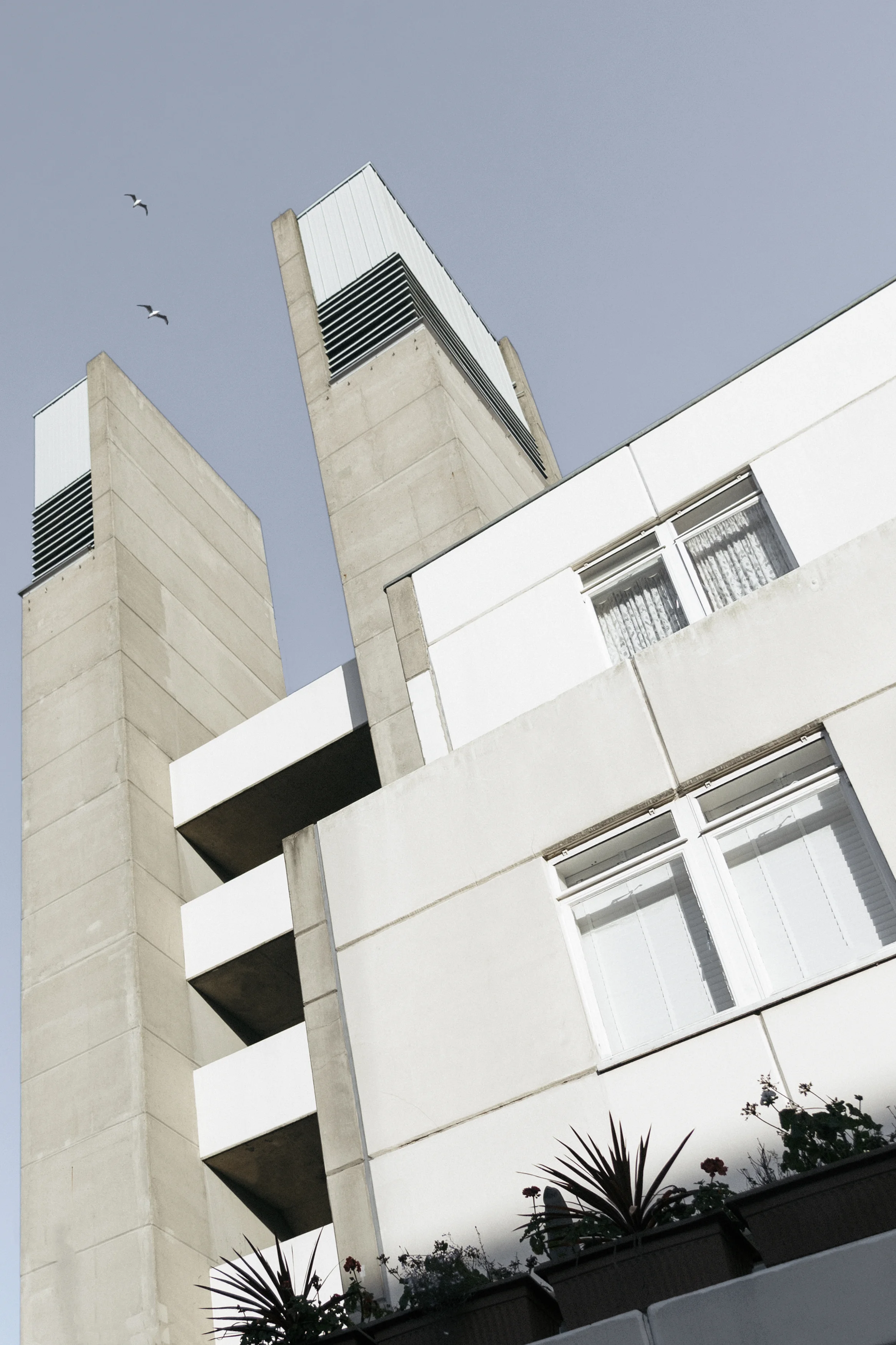 Tom_Oliver_Payne_Brunswick_Centre-4.jpg