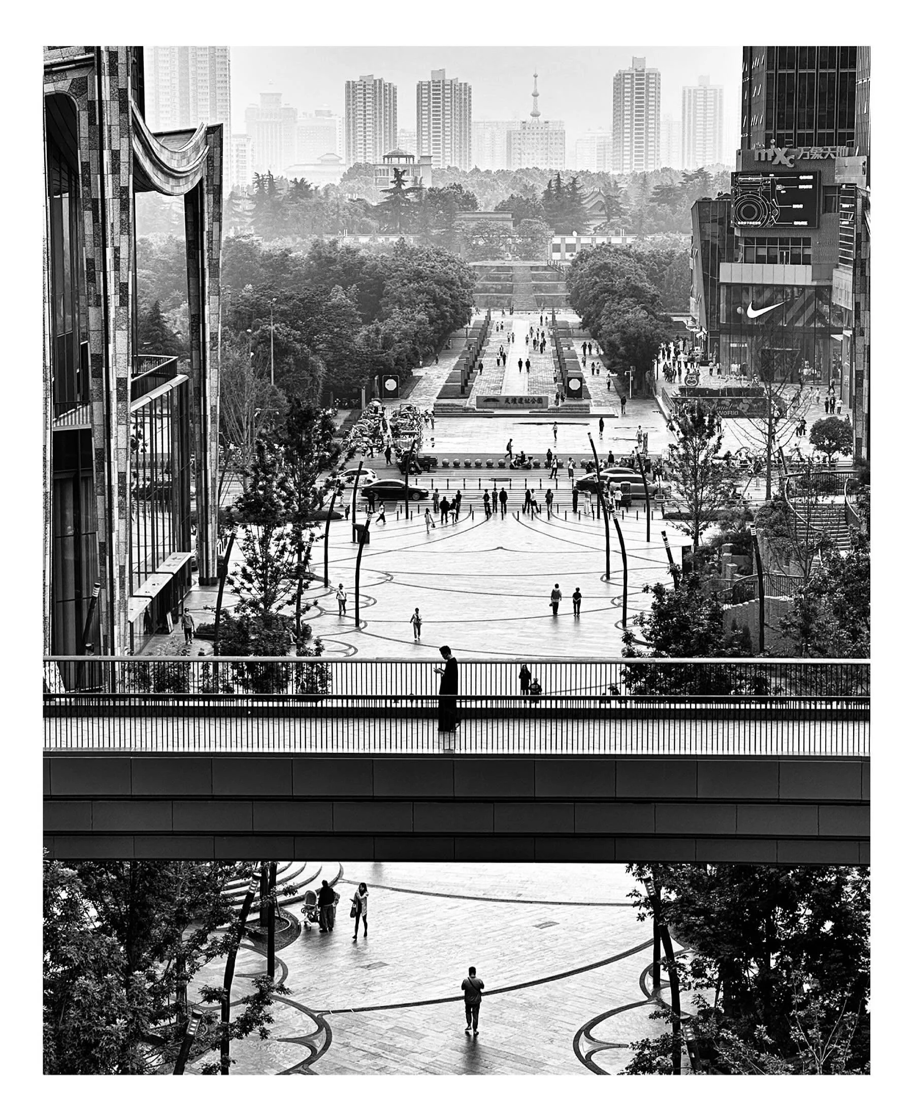 Tree of Life, Xi&rsquo;an, China.