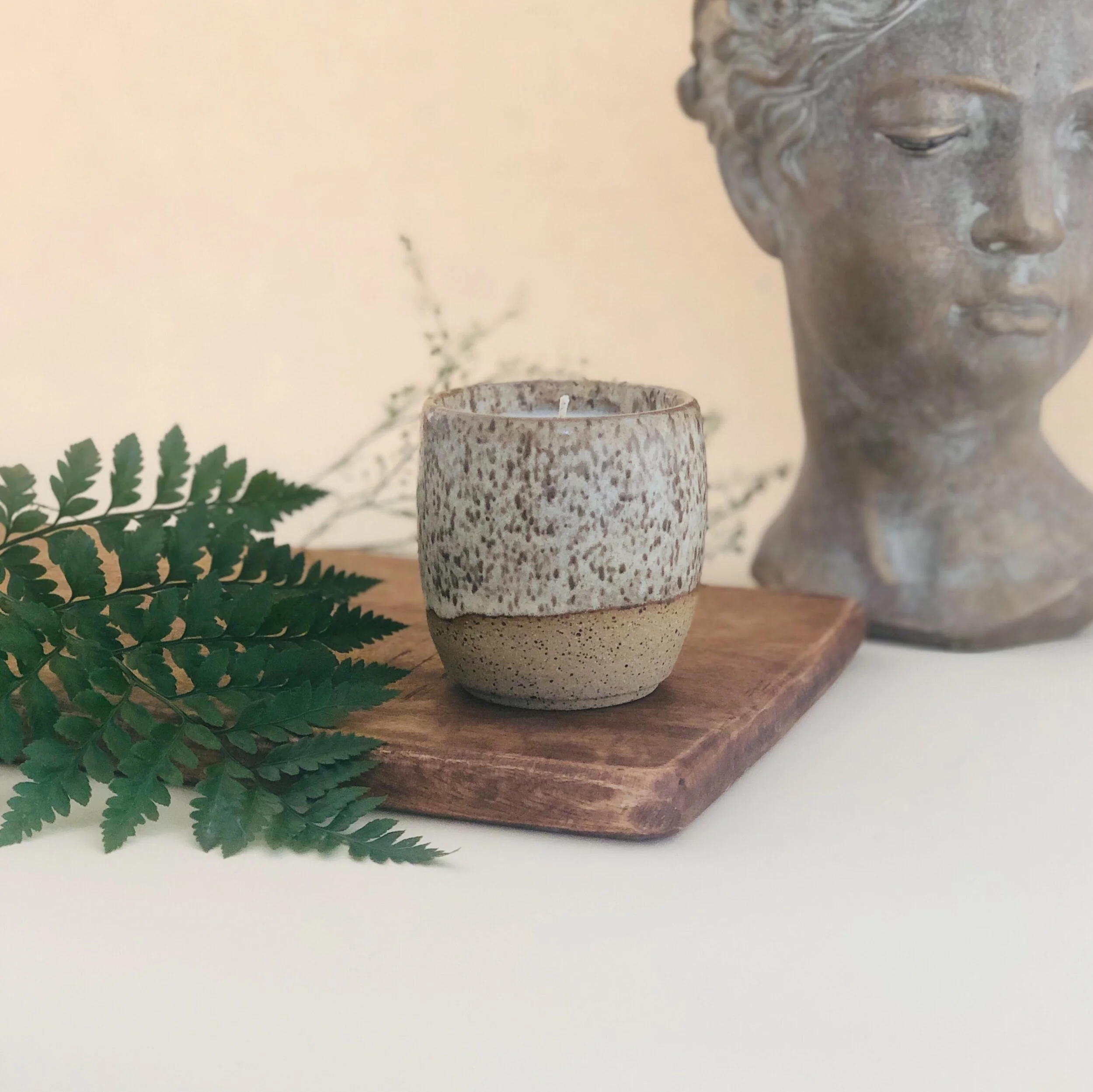 1F29566E-4C9D-4AF6-8D90-ADF7C95A732C